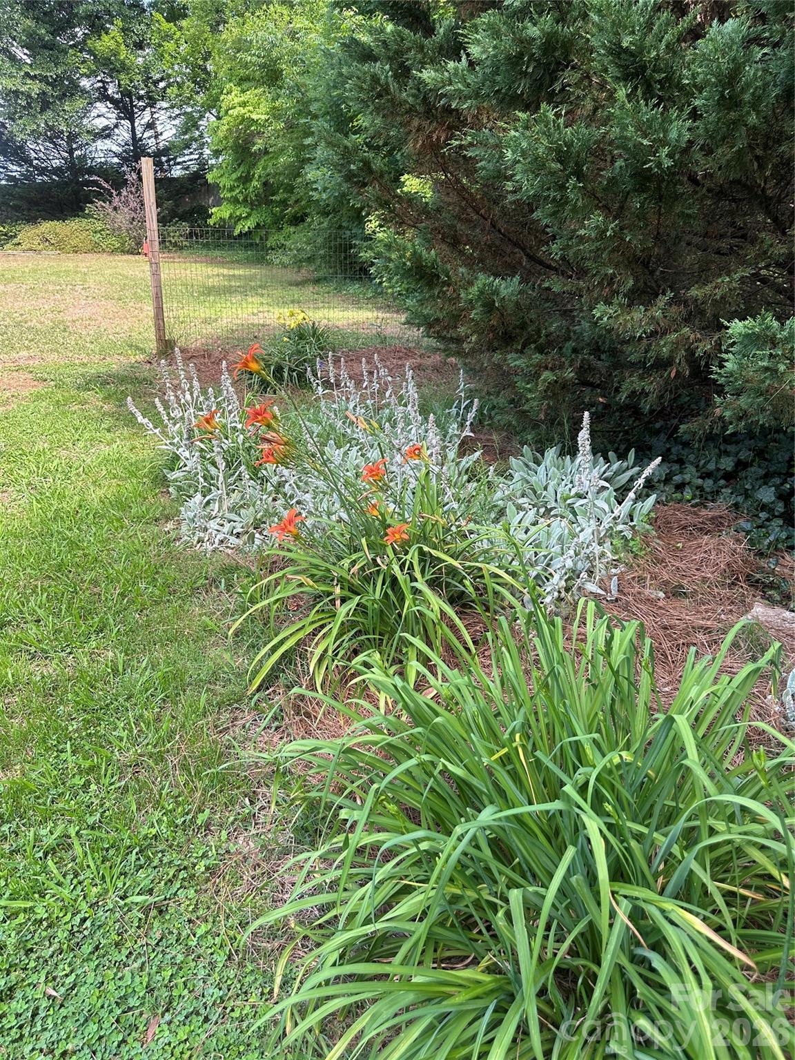 Lots of beautiful flowers. - 1407 N College Avenue, Newton