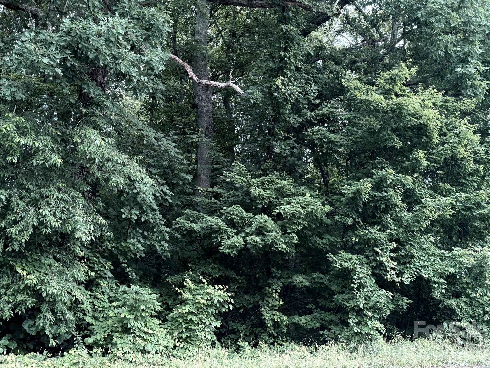 Lot at 0 Buffalo Shoals Road, Statesville, photo 2 of 3