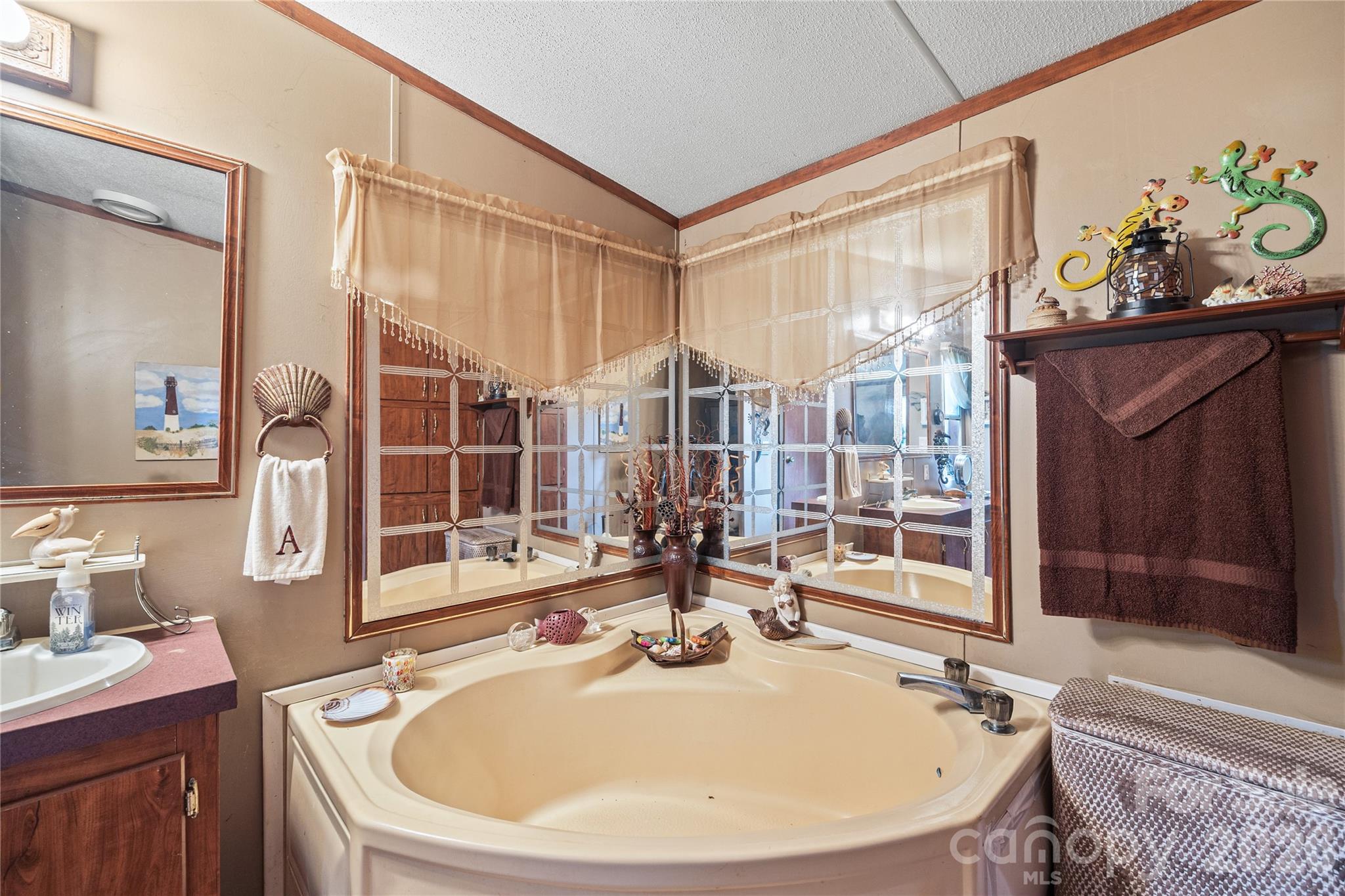 Soaker tub and stand up shower in the primary bath. - 323 Carlyle Road, Troutman