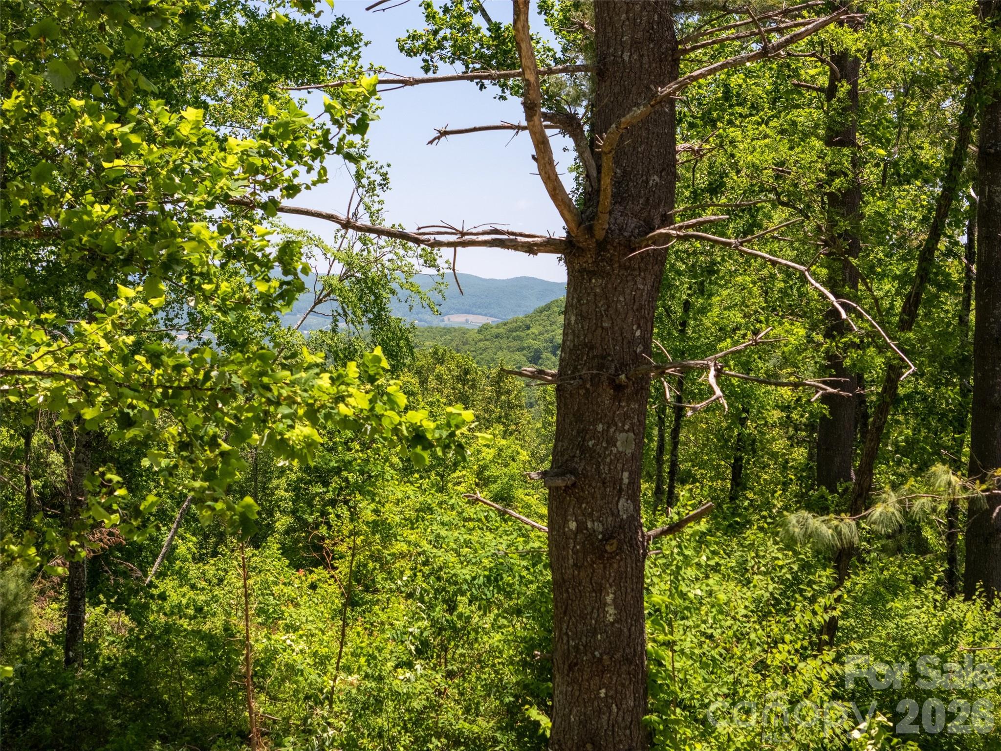 Lot at 189 Dancing Bear Drive, Hendersonville, photo 4 of 41