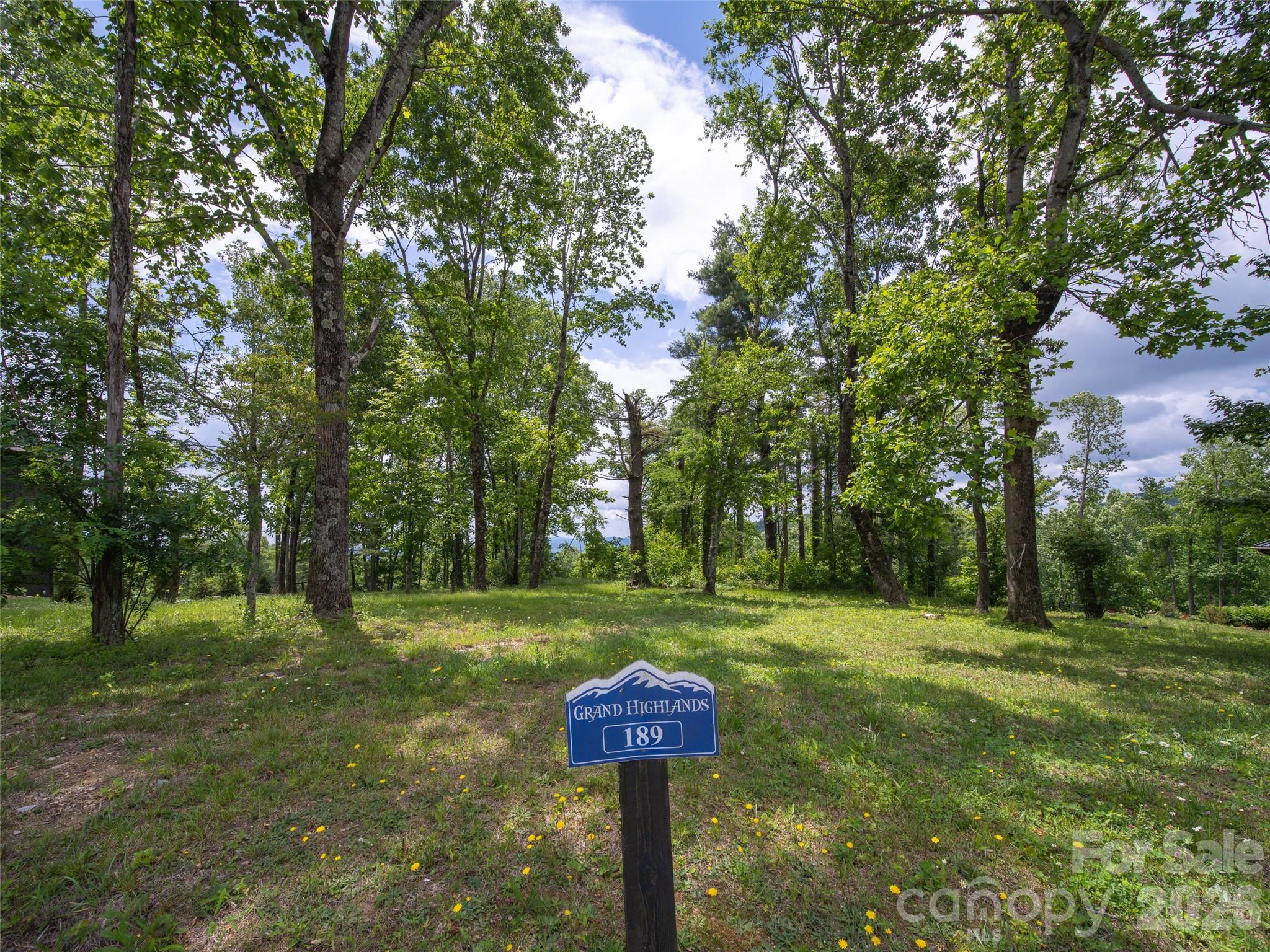 Lot at 189 Dancing Bear Drive, Hendersonville, photo 8 of 41