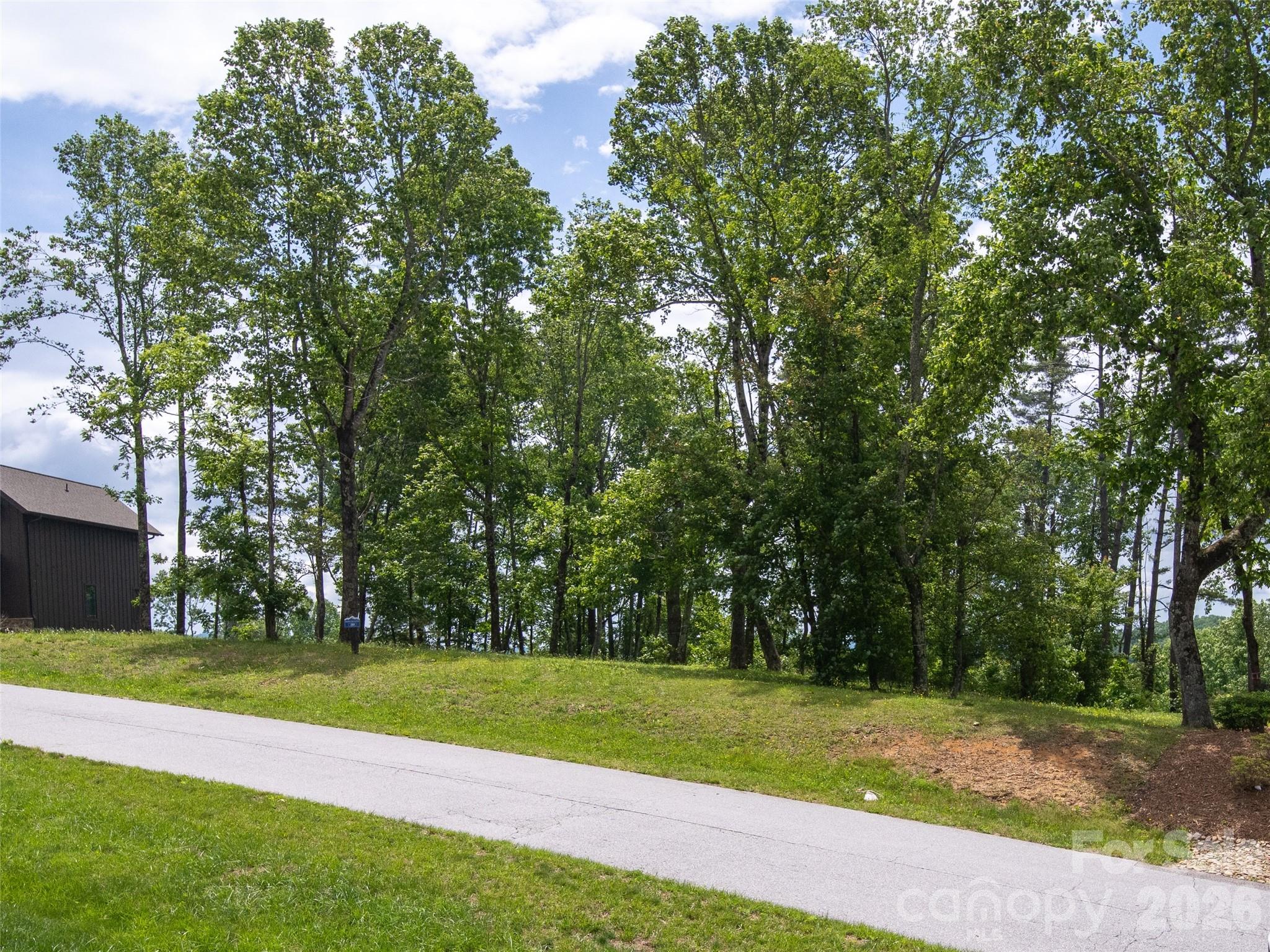 Lot at 189 Dancing Bear Drive, Hendersonville, photo 10 of 41