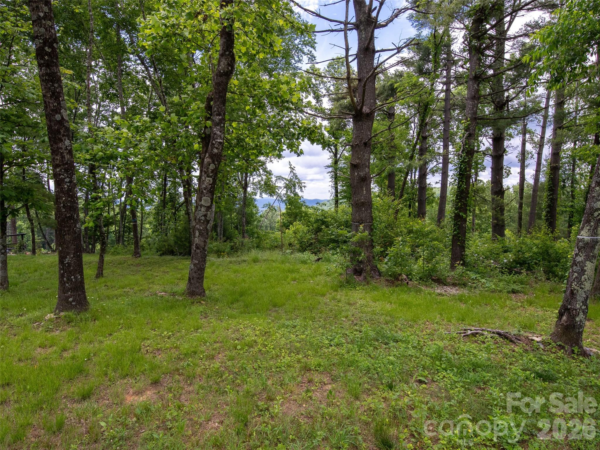 Lot at 189 Dancing Bear Drive, Hendersonville, photo 11 of 41