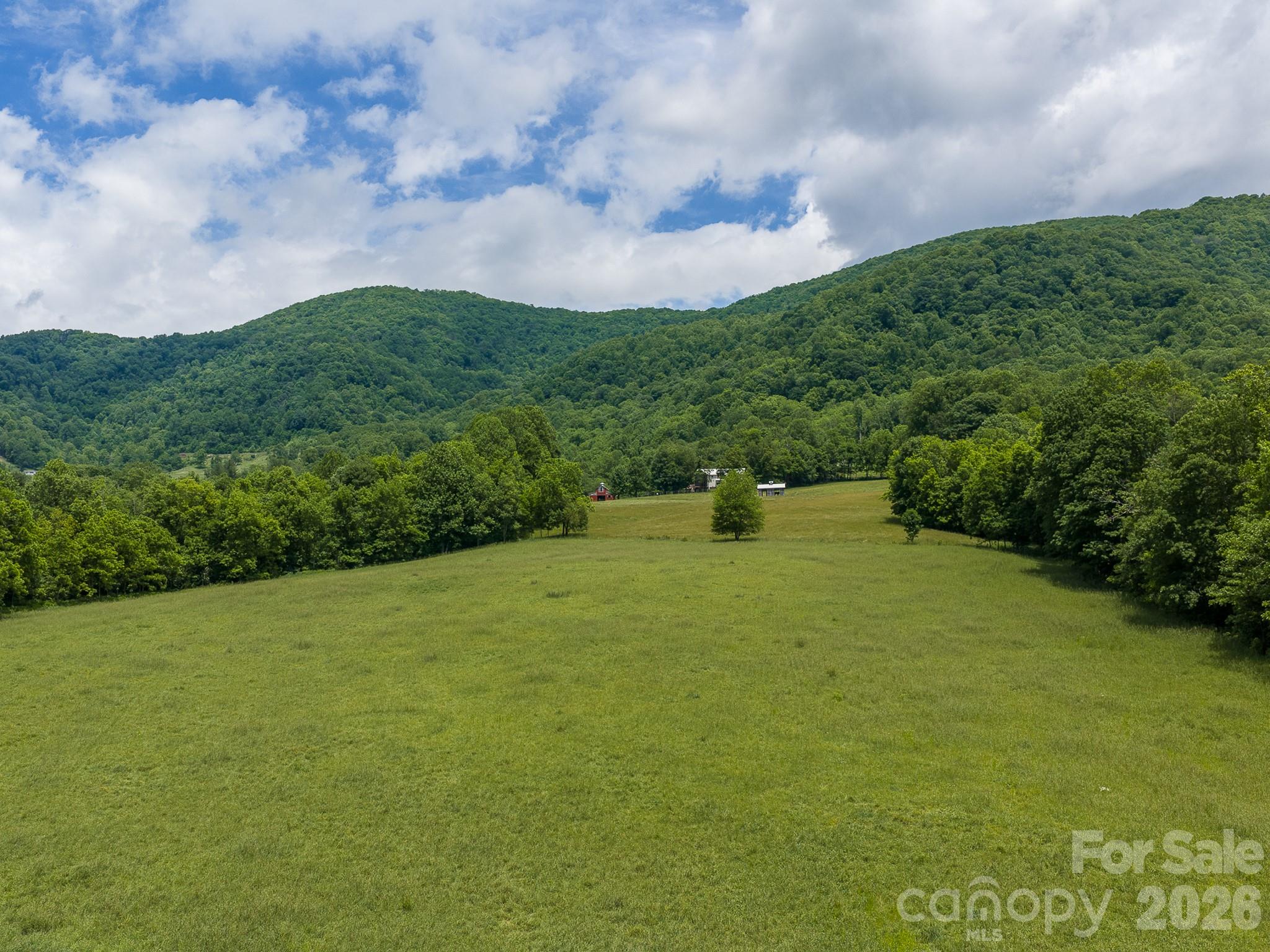 Acreage at 00 Sallys Branch Road, Clyde, photo 2 of 22