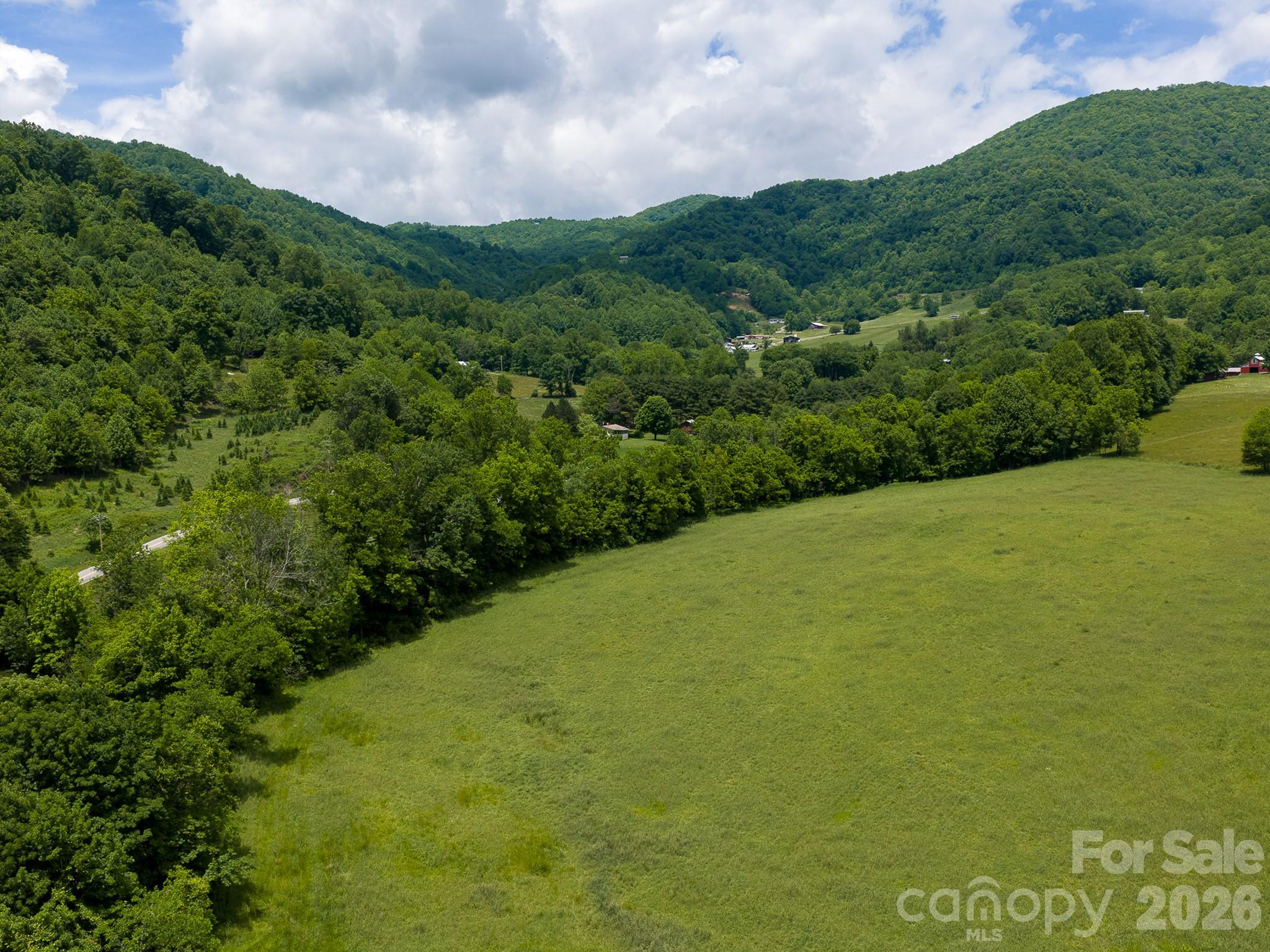 Acreage at 00 Sallys Branch Road, Clyde, photo 3 of 22
