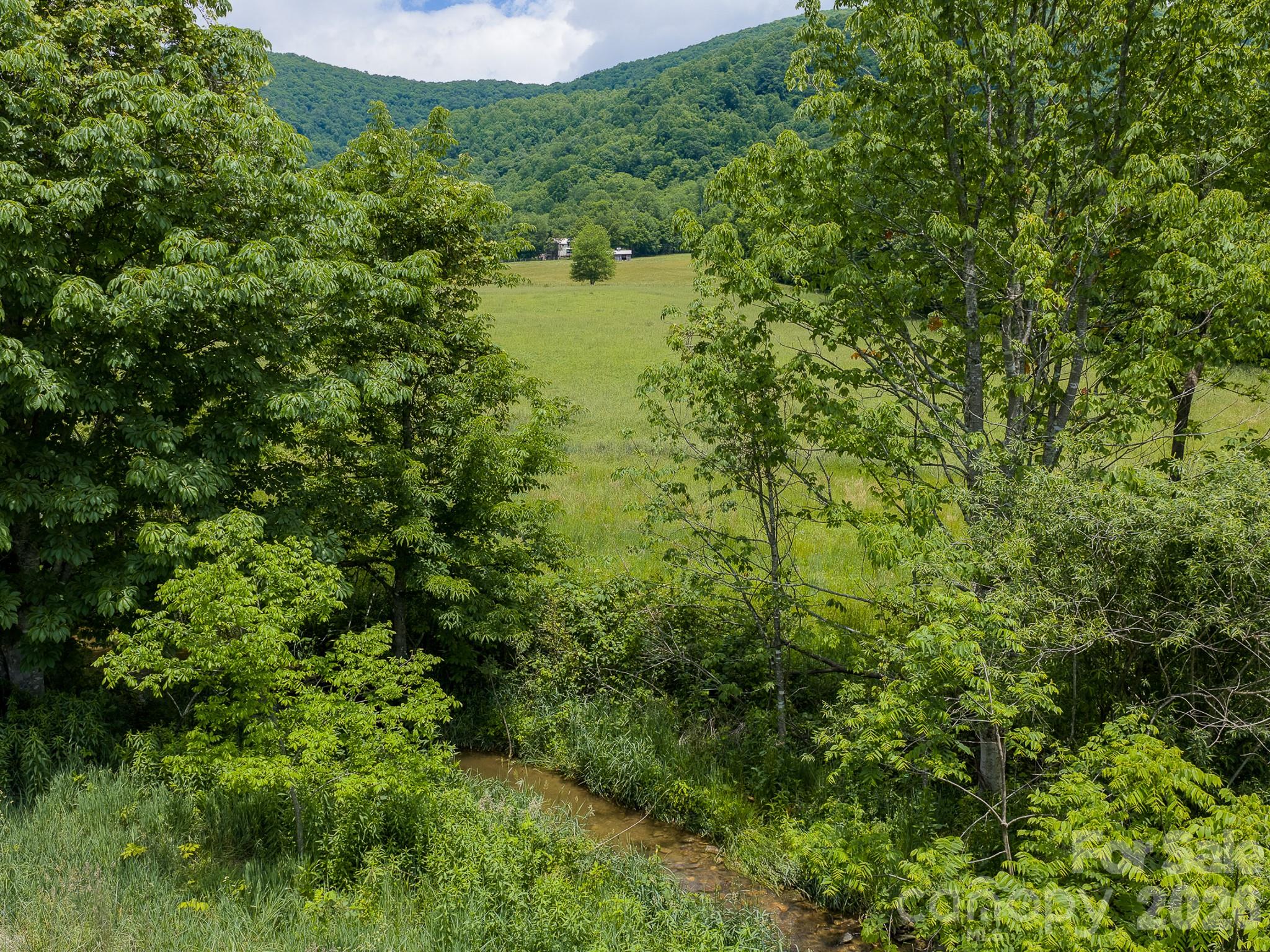 Acreage at 00 Sallys Branch Road, Clyde, photo 7 of 22
