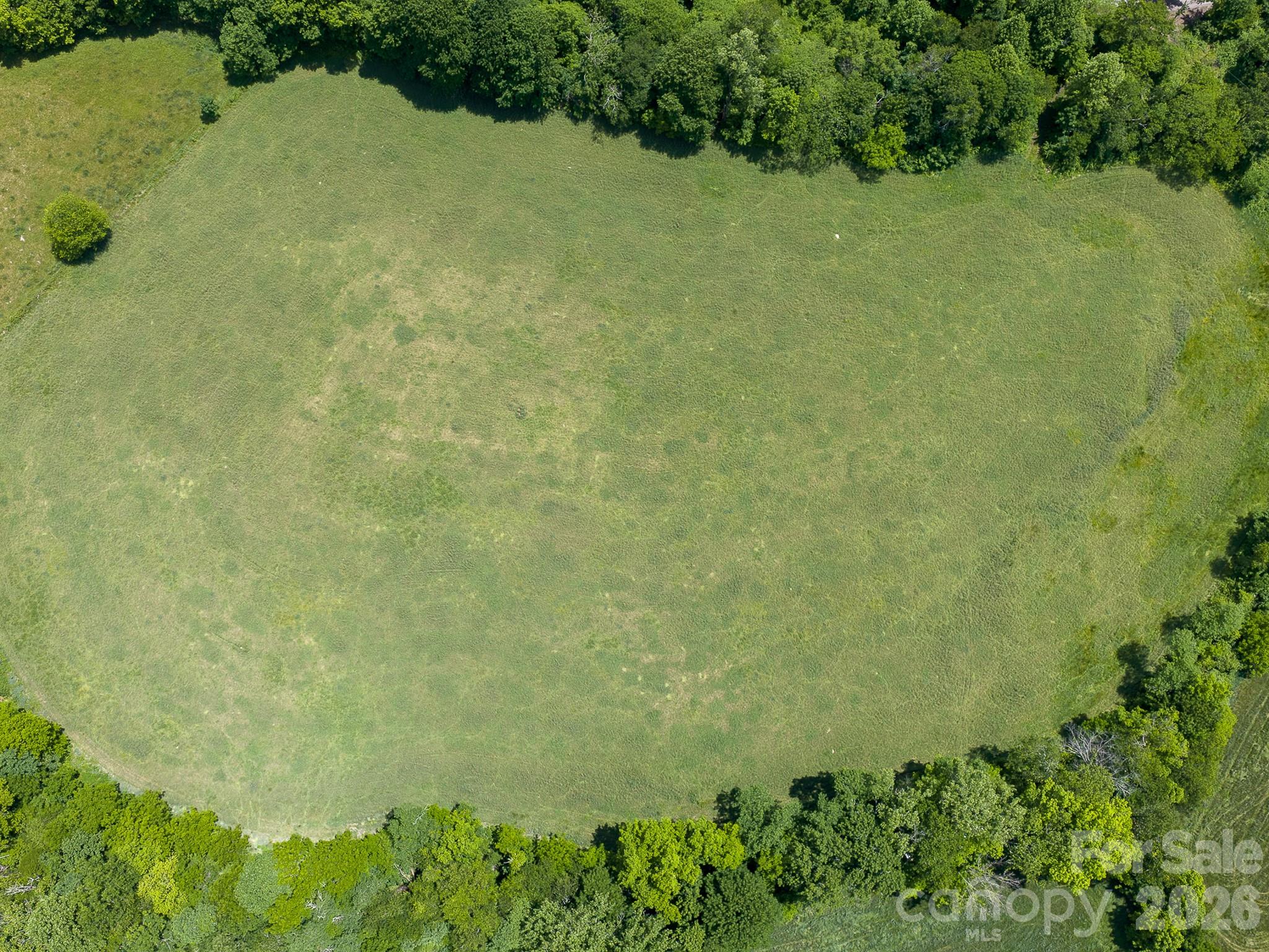Acreage at 00 Sallys Branch Road, Clyde, photo 13 of 22
