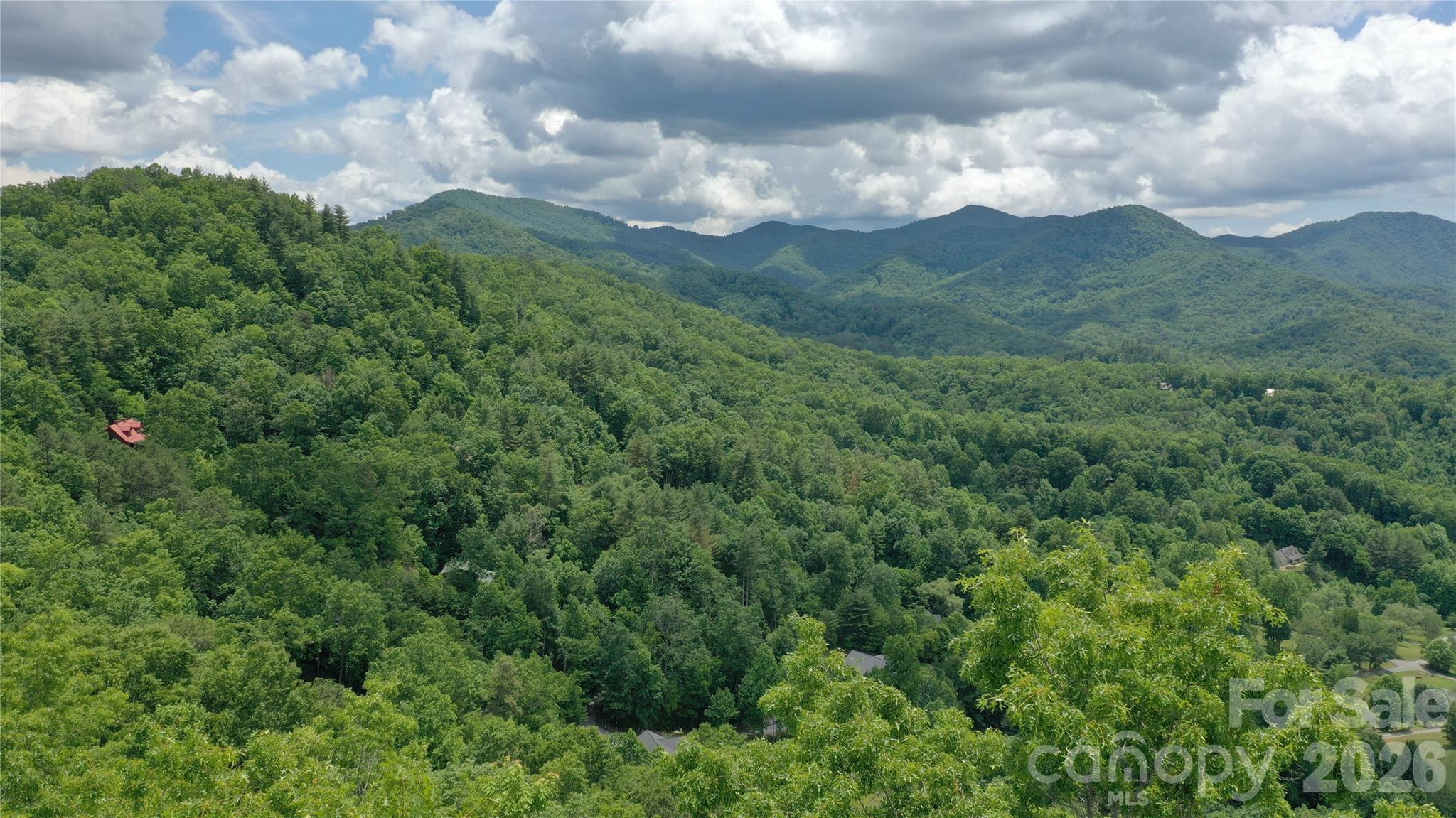 Tree top drone shot - Lot 29 Signal Ridge Road, Sylva