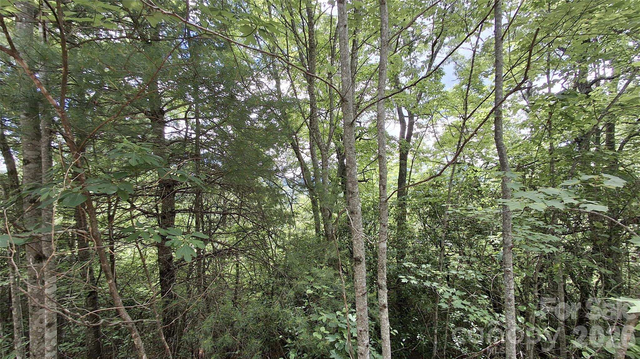 Lot at Lot 29 Signal Ridge Road, Sylva, photo 6 of 12
