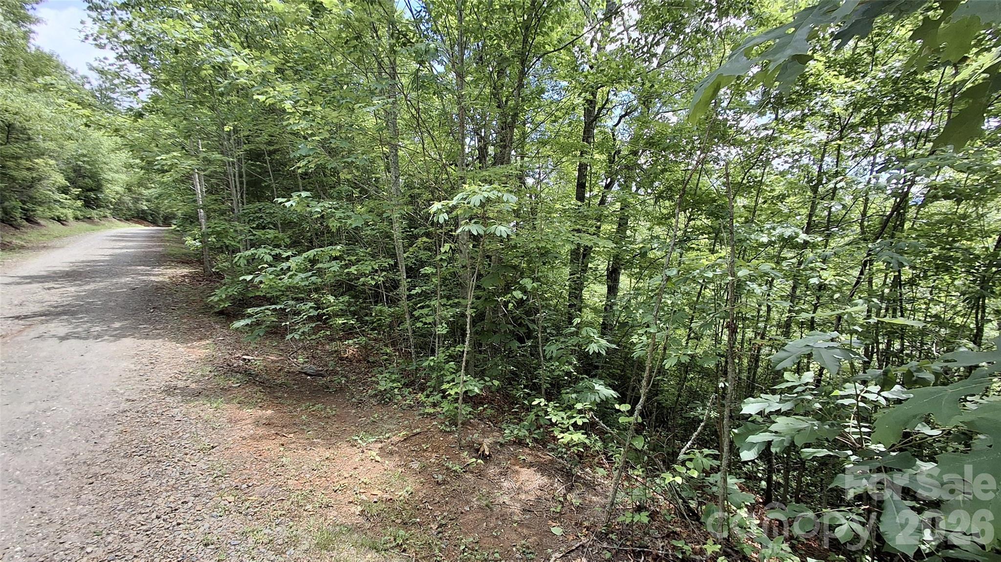 Lot at Lot 29 Signal Ridge Road, Sylva, photo 10 of 12