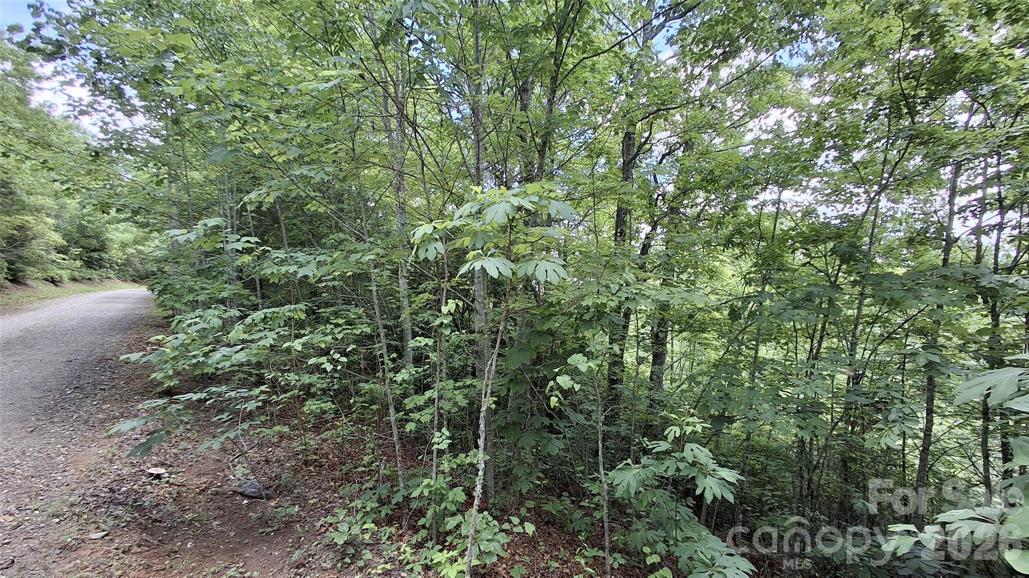 Lot at Lot 29 Signal Ridge Road, Sylva, photo 12 of 12
