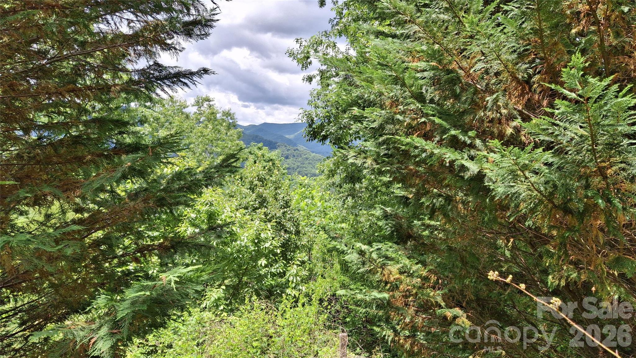 Lot at 491 Signal Ridge Road, Sylva, photo 5 of 17