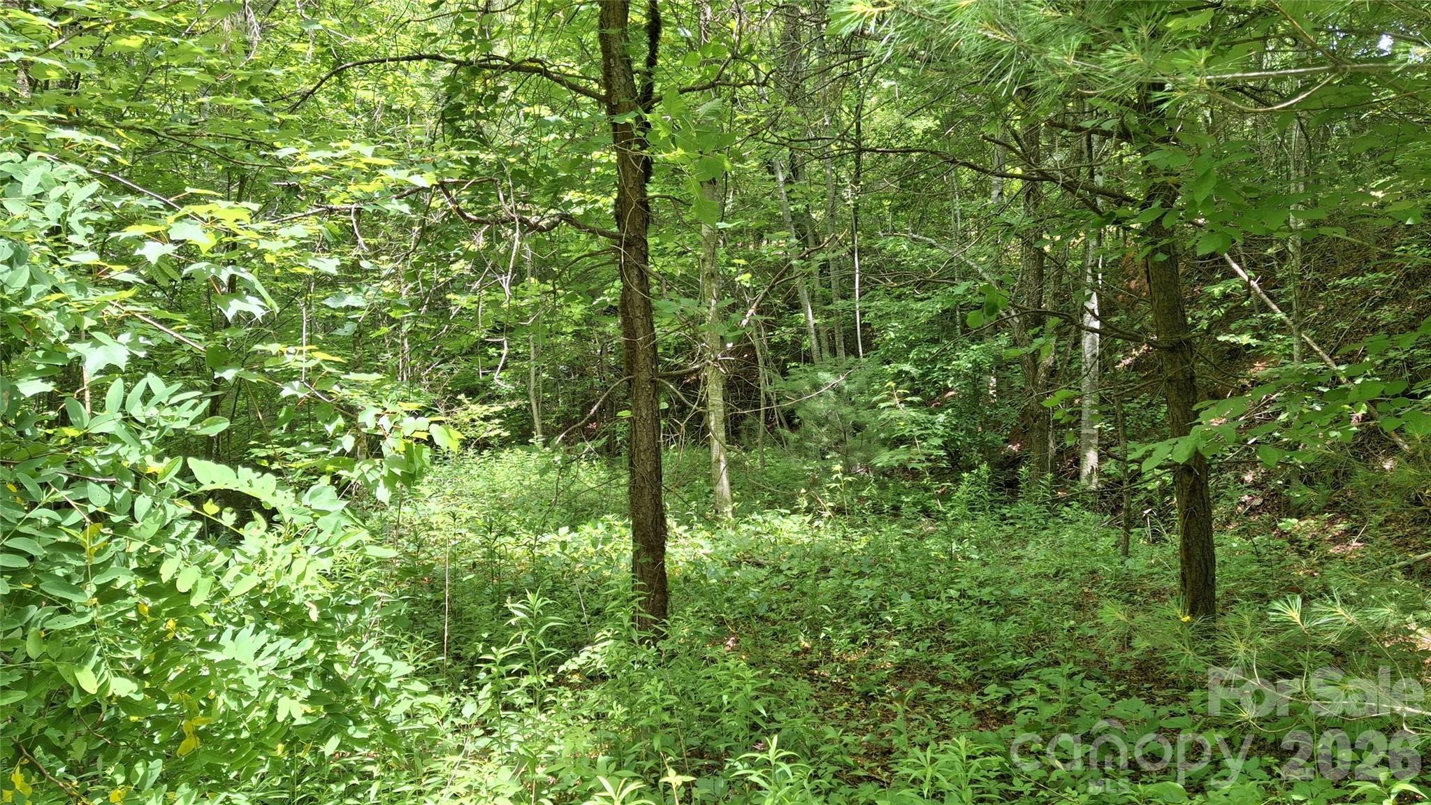 House pad - 491 Signal Ridge Road, Sylva