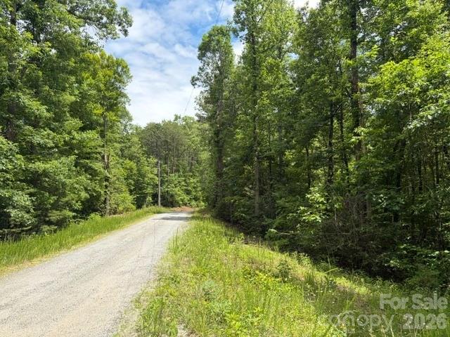 entry road to property - 0 Pear tree Drive, Lake Lure