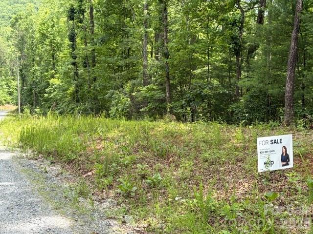 front of property - 0 Pear tree Drive, Lake Lure