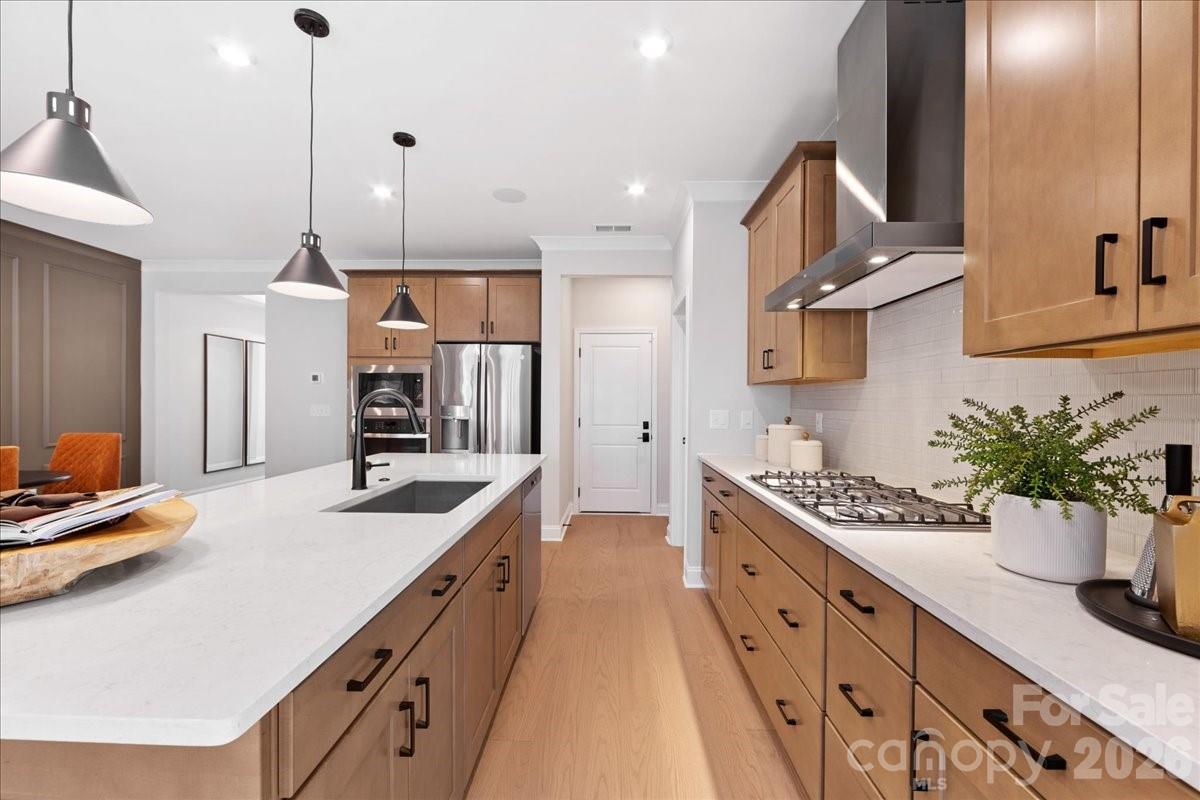 Conceptual - 221 Landy Street, Fort Mill