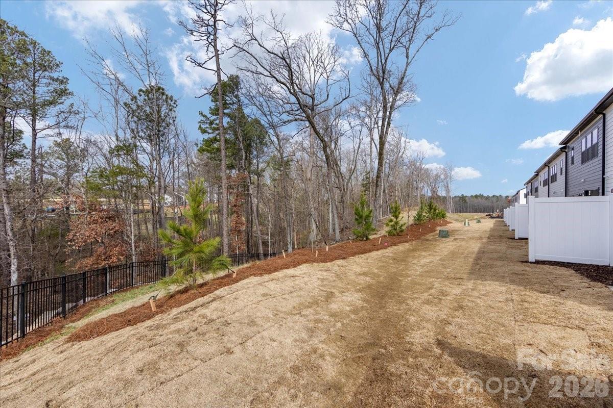 Conceptual - 221 Landy Street, Fort Mill
