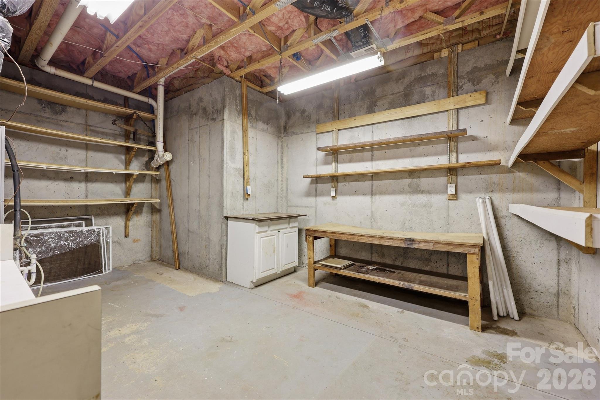 workshop/storage in basement - 878 Treasure Court, Fort Mill