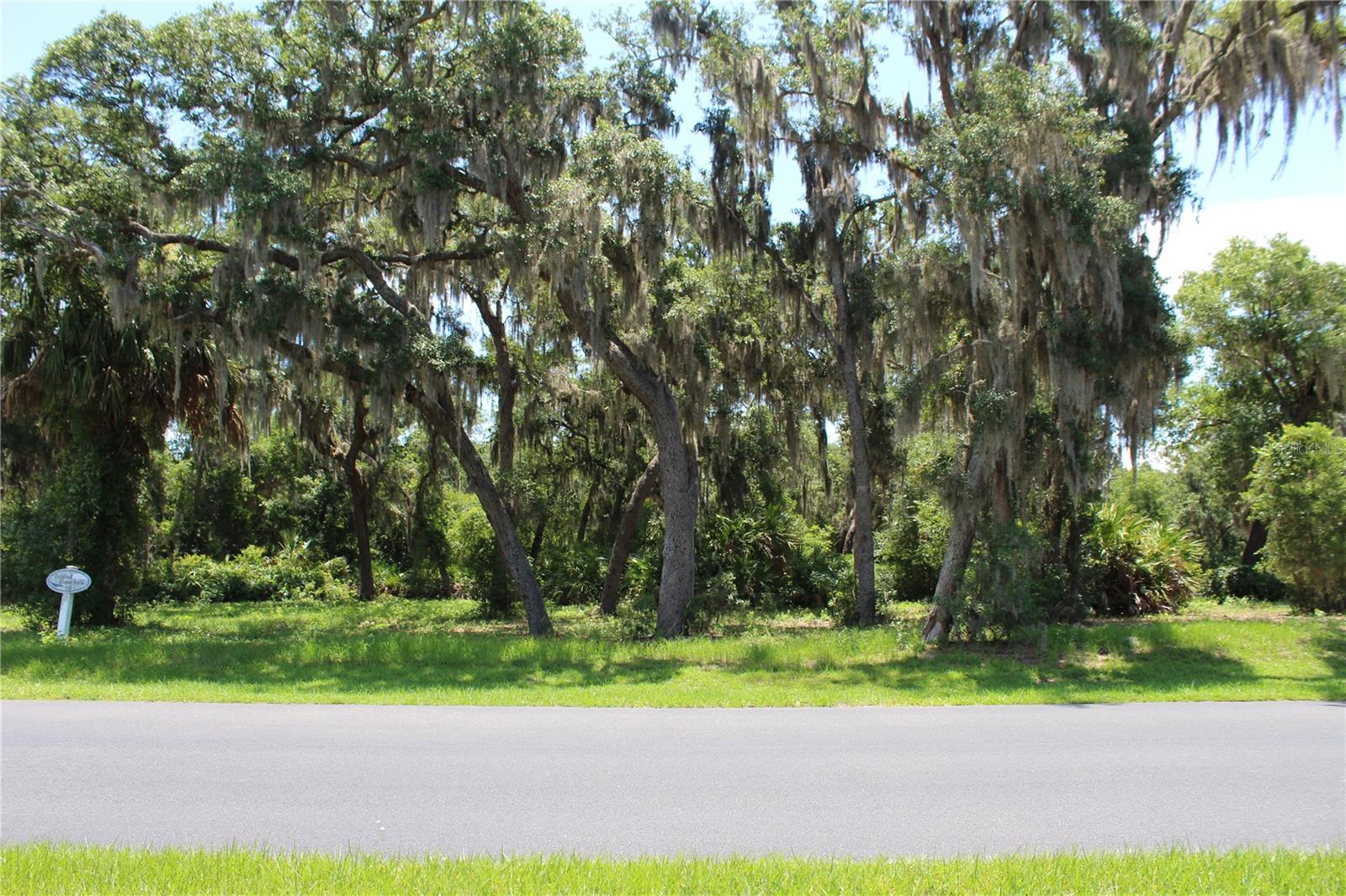 Lot 63 Private Road Frontage - 3117 BRIGHT LAKE CIR #lot 63, GROVELAND