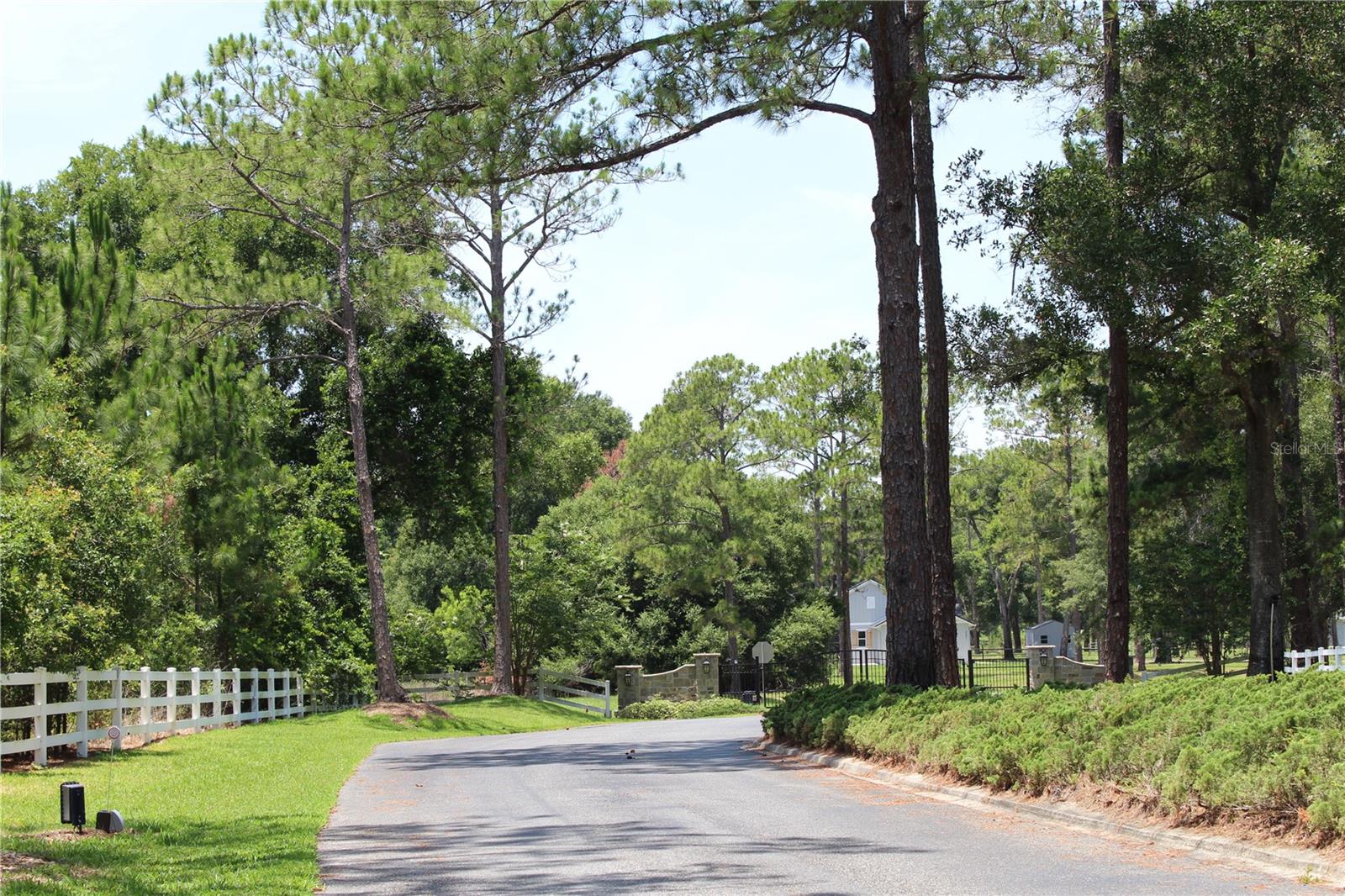 Gated Entrance - 3117 BRIGHT LAKE CIR #lot 63, GROVELAND