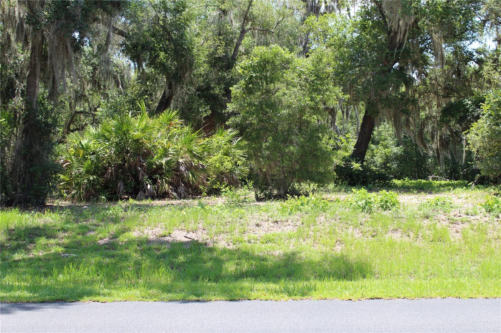 Land at 3117 BRIGHT LAKE CIR #lot 63, GROVELAND, photo 9 of 28