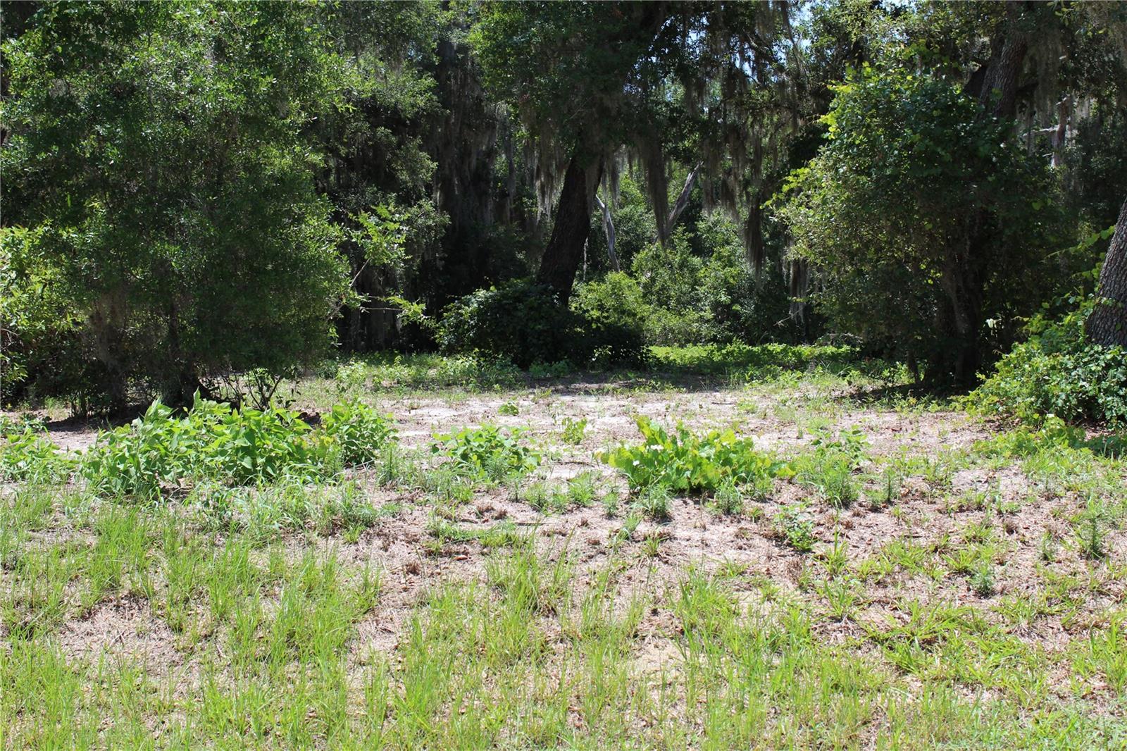 Lot 63 - 3117 BRIGHT LAKE CIR #lot 63, GROVELAND