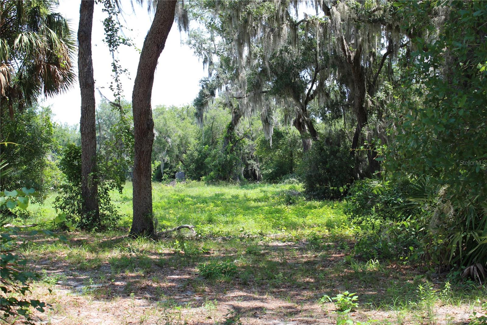 Land at 3117 BRIGHT LAKE CIR #lot 63, GROVELAND, photo 11 of 28