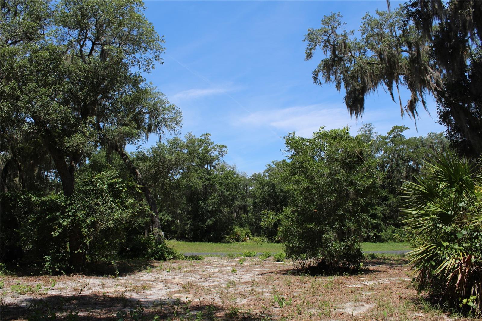 Looking out to Bright Lake Cirle - 3117 BRIGHT LAKE CIR #lot 63, GROVELAND