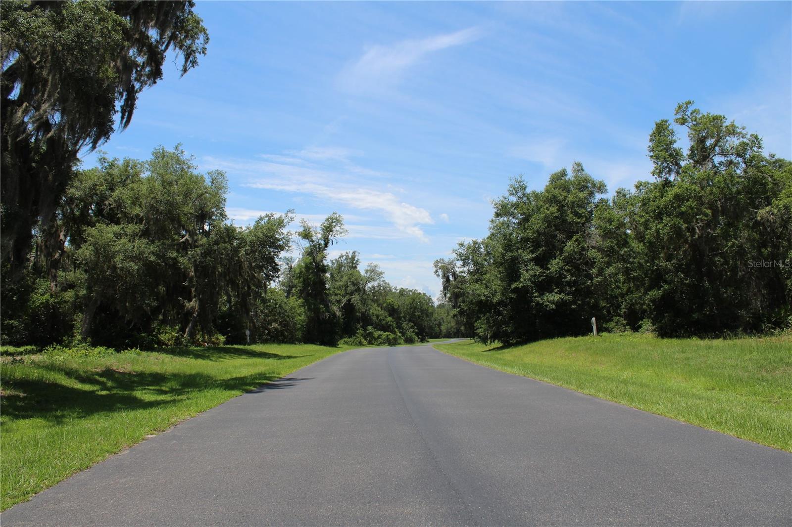 Bright Lake Circle in front of lot 63 - 3117 BRIGHT LAKE CIR #lot 63, GROVELAND