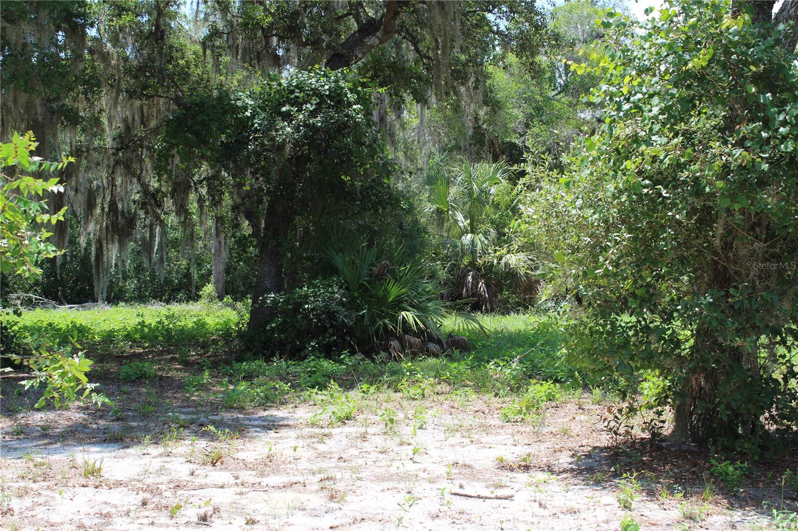 views inside the property - 3117 BRIGHT LAKE CIR #lot 63, GROVELAND
