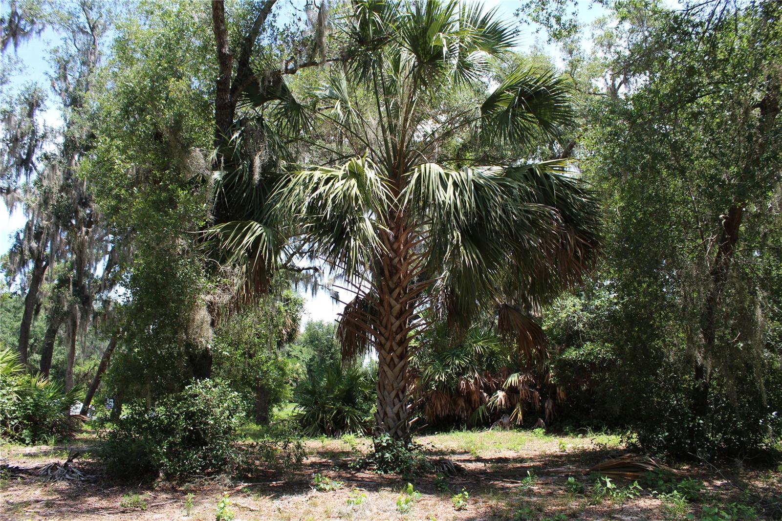 Land at 3117 BRIGHT LAKE CIR #lot 63, GROVELAND, photo 16 of 28