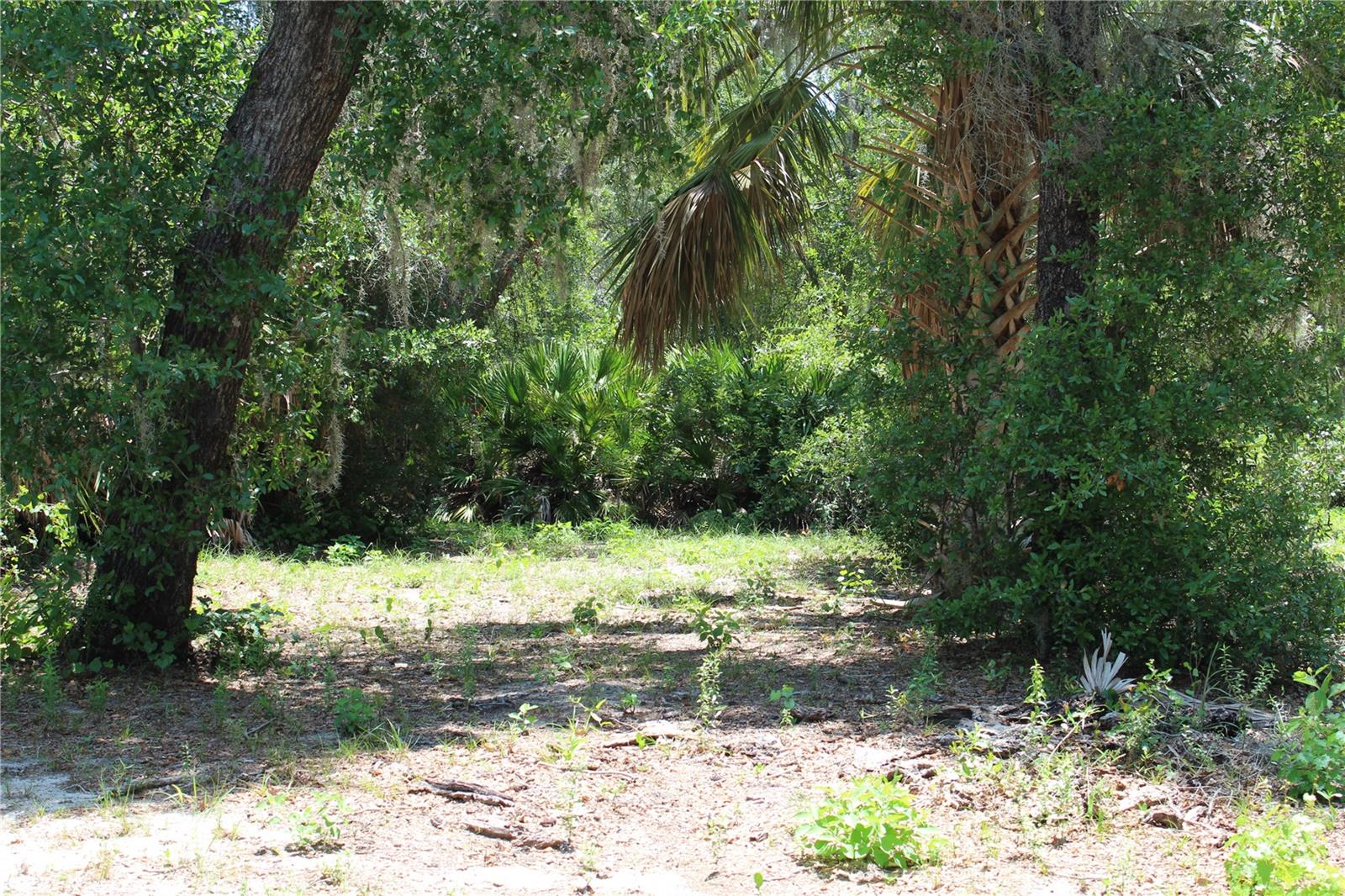 Land at 3117 BRIGHT LAKE CIR #lot 63, GROVELAND, photo 17 of 28