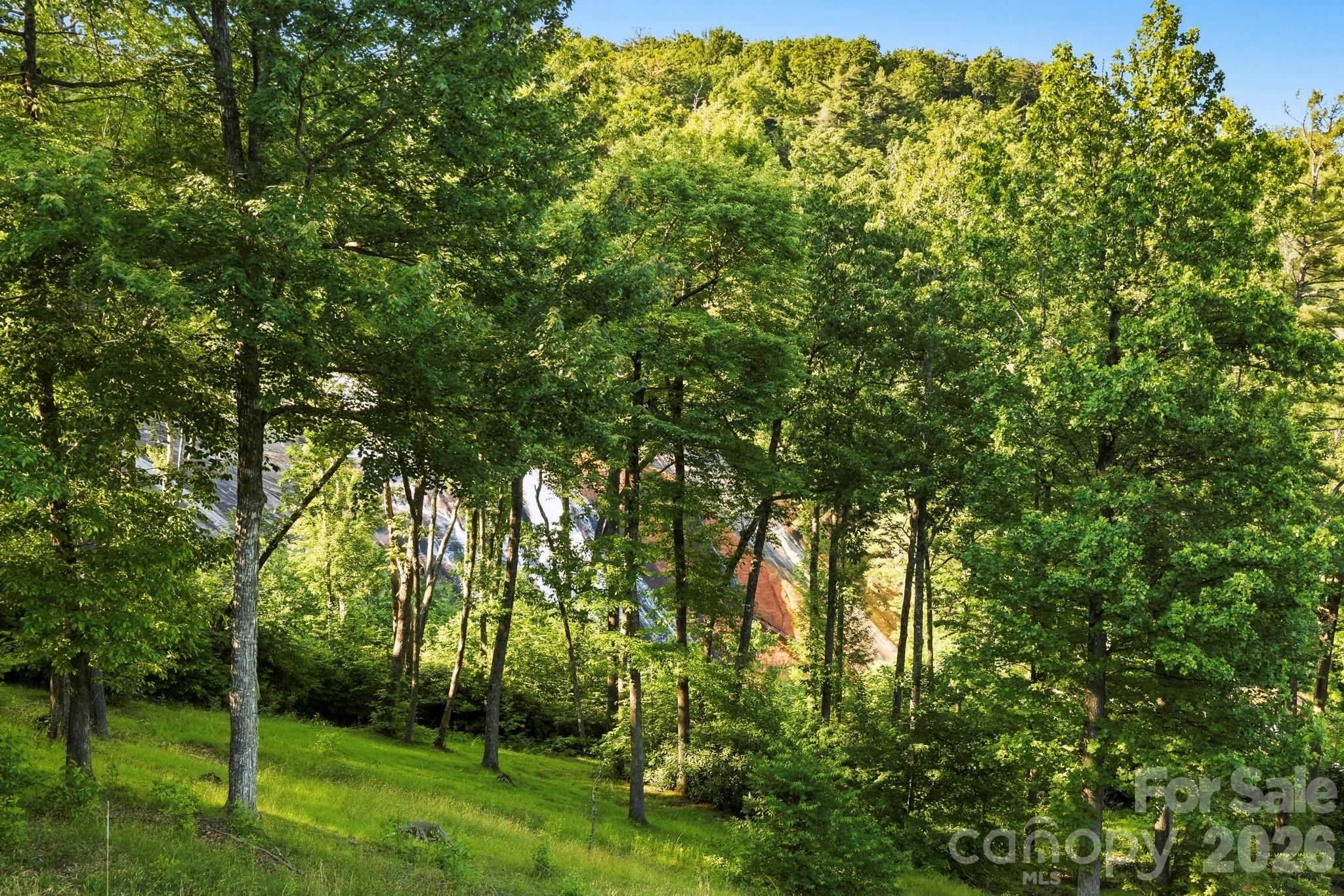 View from the Porch - 30 Lower Tanglewood Road E, Lake Toxaway