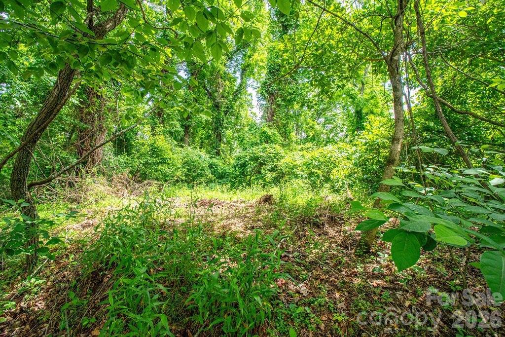 Large build site. - 9999 Sandy Mush Creek Road, Leicester