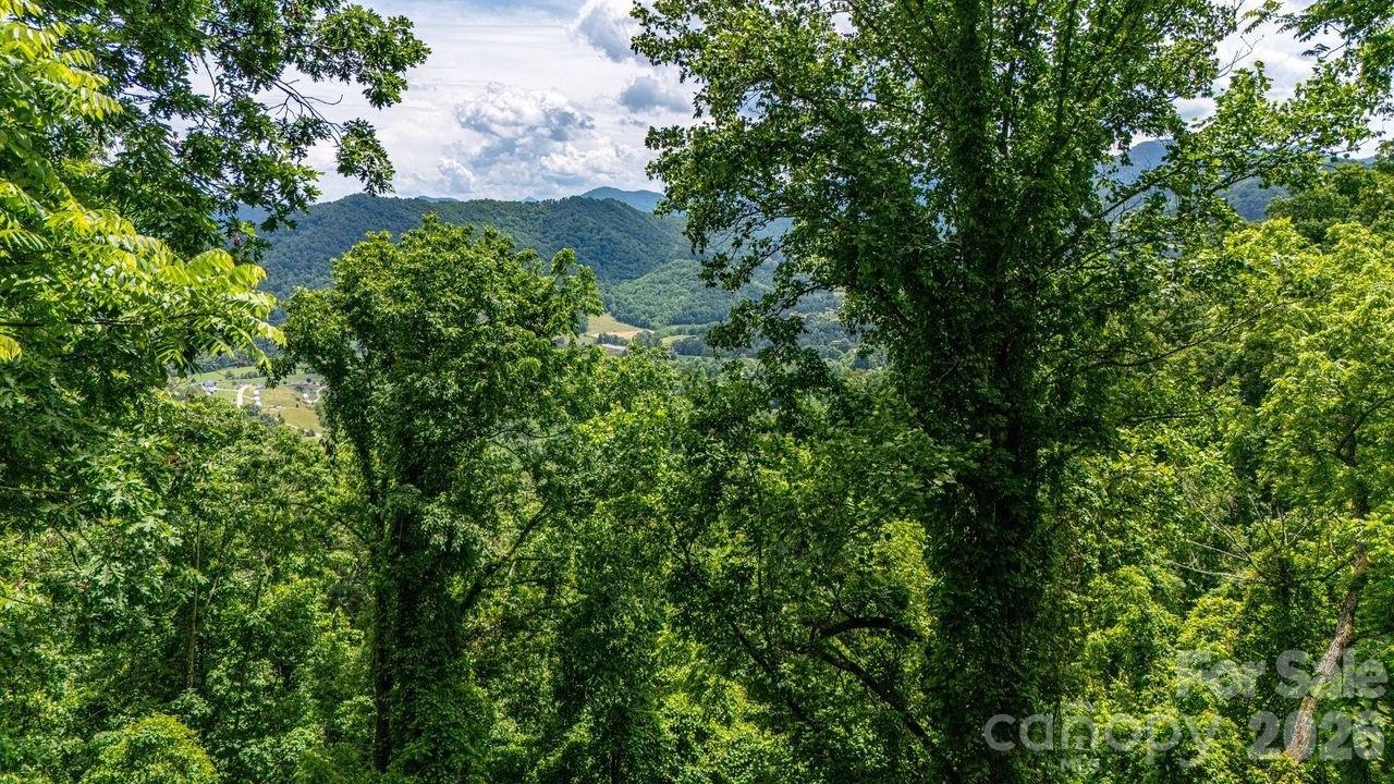 Views from build site. - 9999 Sandy Mush Creek Road, Leicester
