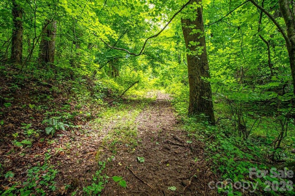 Drive/trail to build site and fantastic views. - 9999 Sandy Mush Creek Road, Leicester