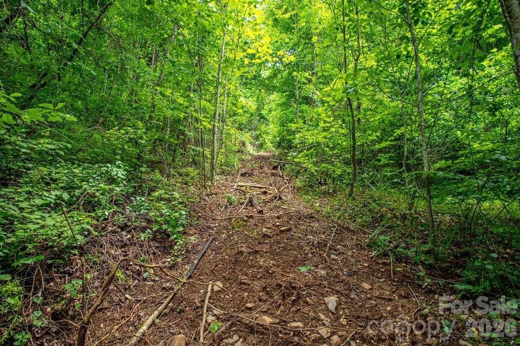 Acreage at 9999 Sandy Mush Creek Road, Leicester, photo 7 of 9