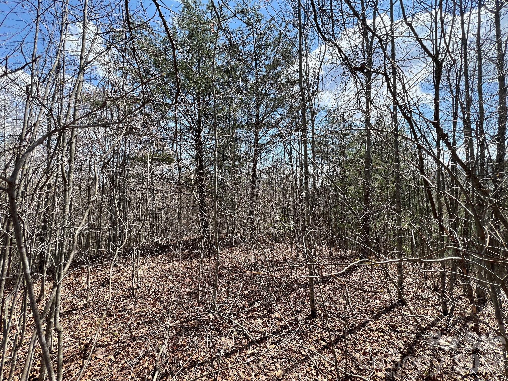 Level build site - 192 Pine Cone Trail, Marshall