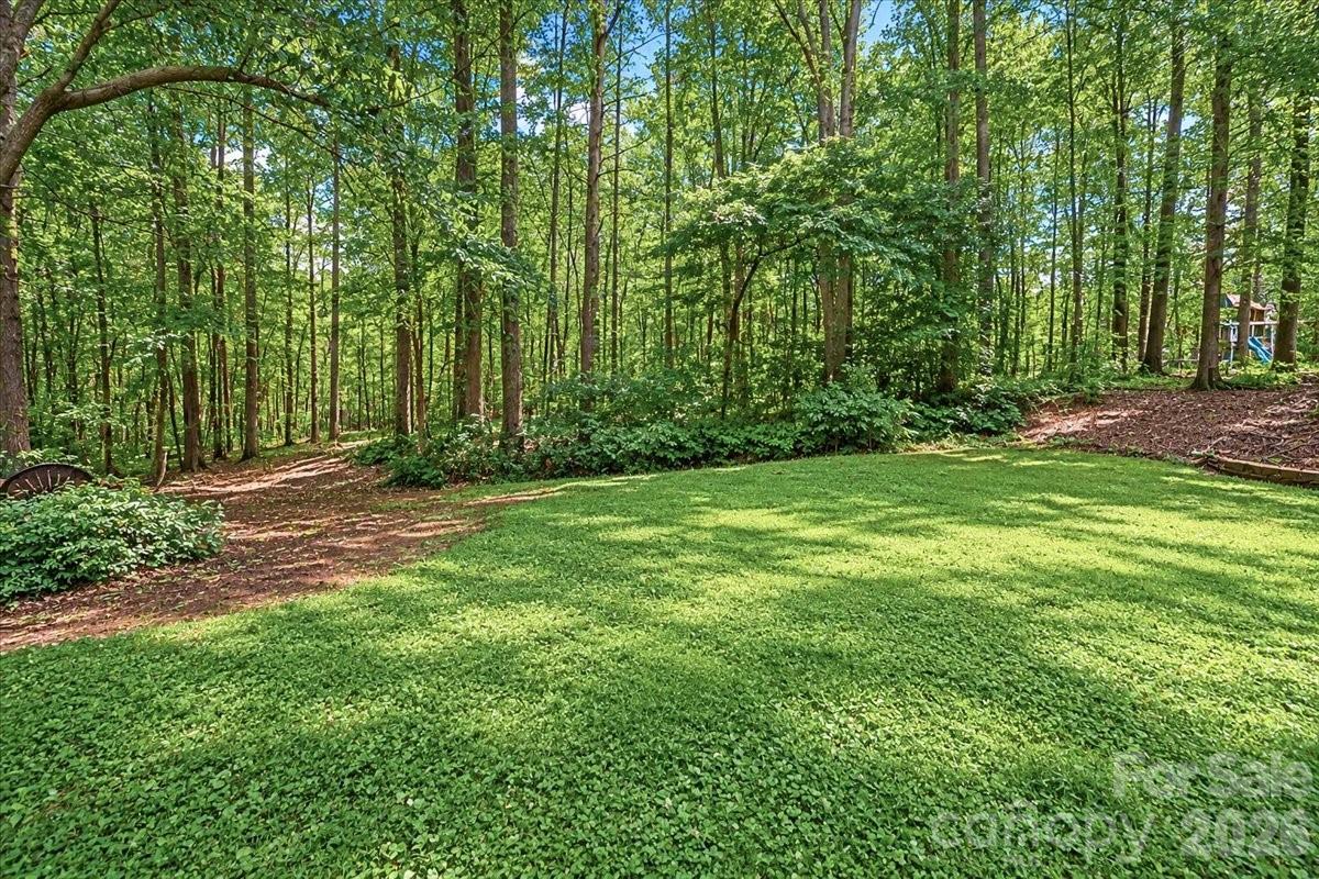 Backyard View - 311 N Deerfield Circle, Salisbury