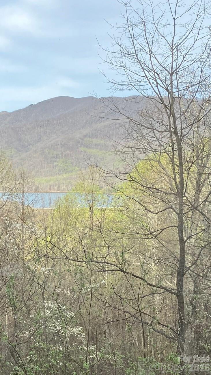 Seller' photo showing a early spring view of the Burnett Reservoir from the house. - 22 Great Aspen Way, Black Mountain
