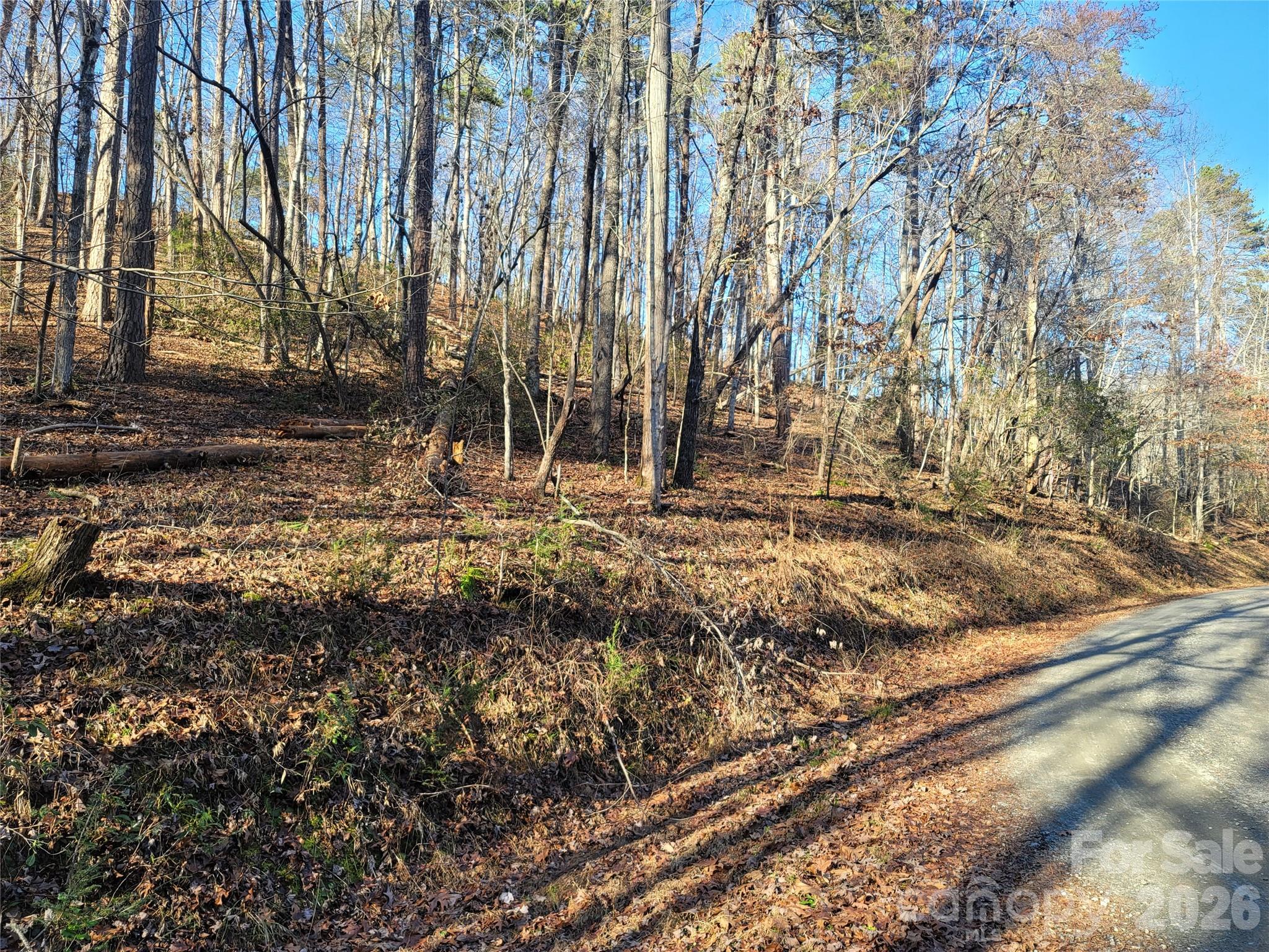 Lot at Lot 140 Rainbow Circle, Lake Lure, photo 8 of 19