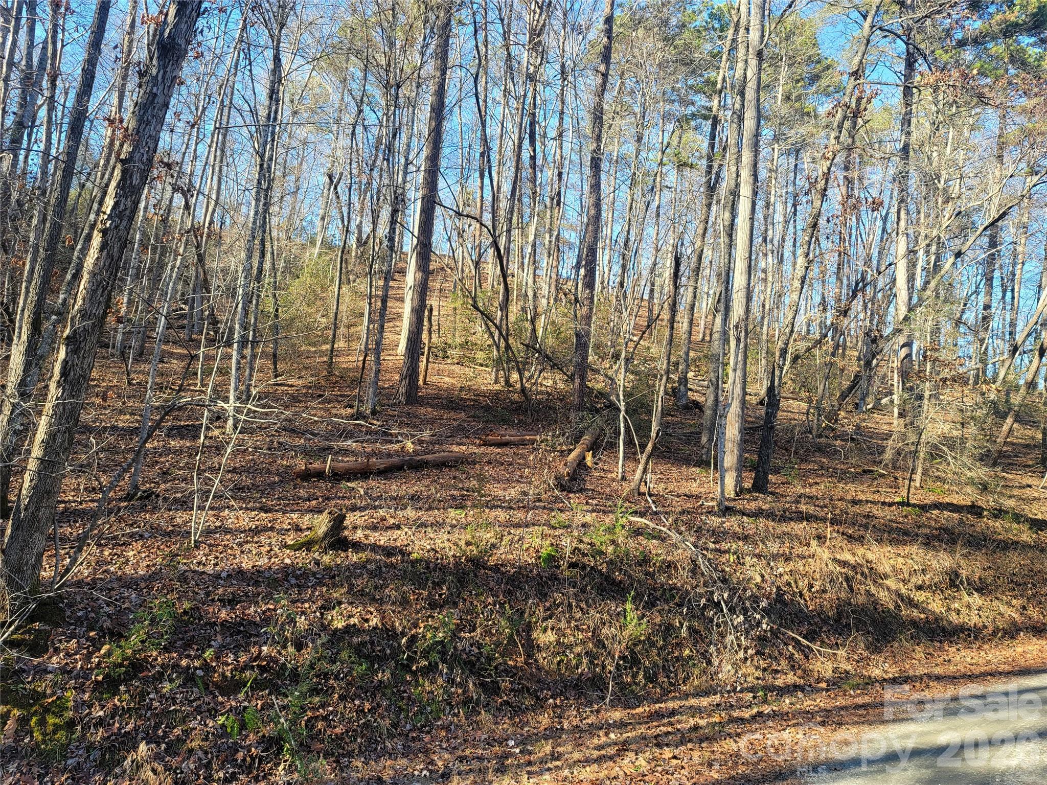 Lot at Lot 140 Rainbow Circle, Lake Lure, photo 13 of 19