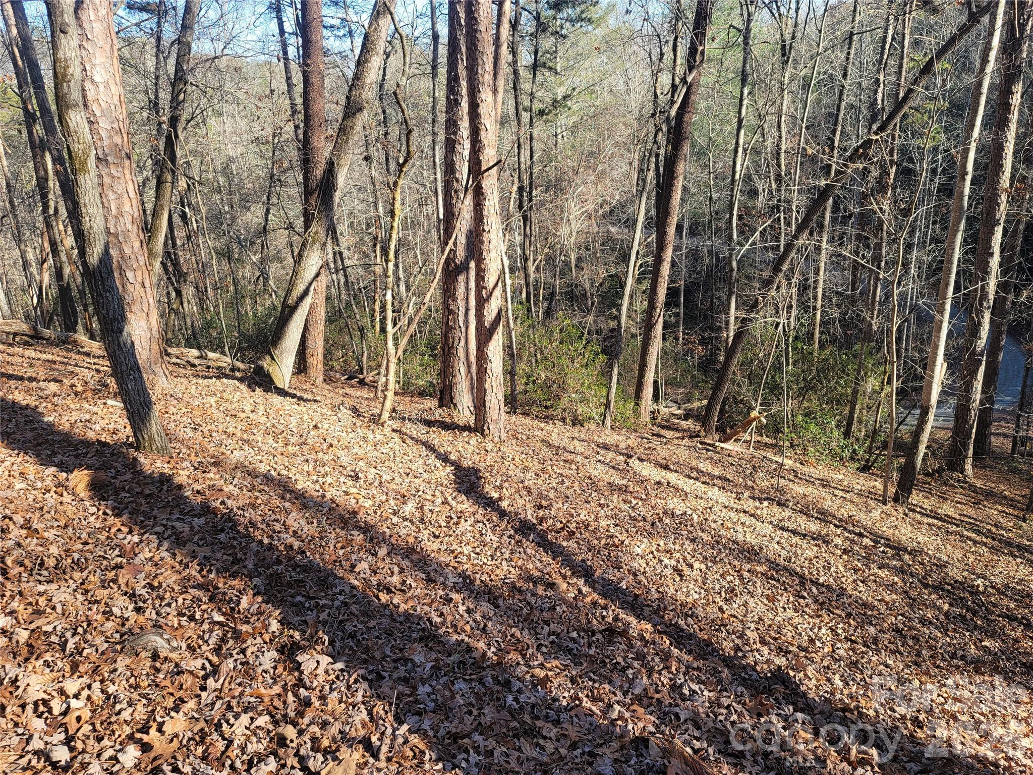 Lot at Lot 140 Rainbow Circle, Lake Lure, photo 15 of 19