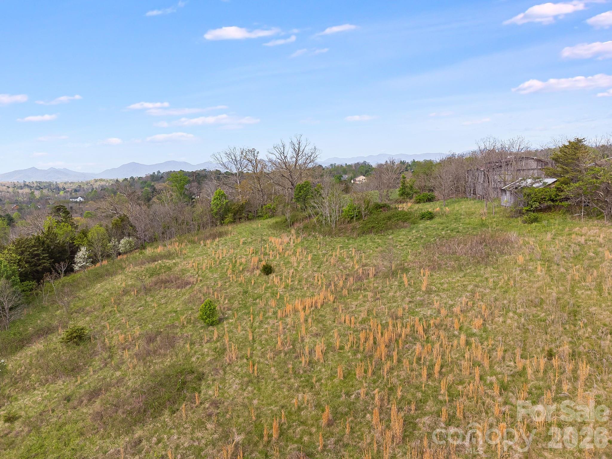Gently rolling topography and multiple potential build sites. - 47 Gill Branch Road, Weaverville