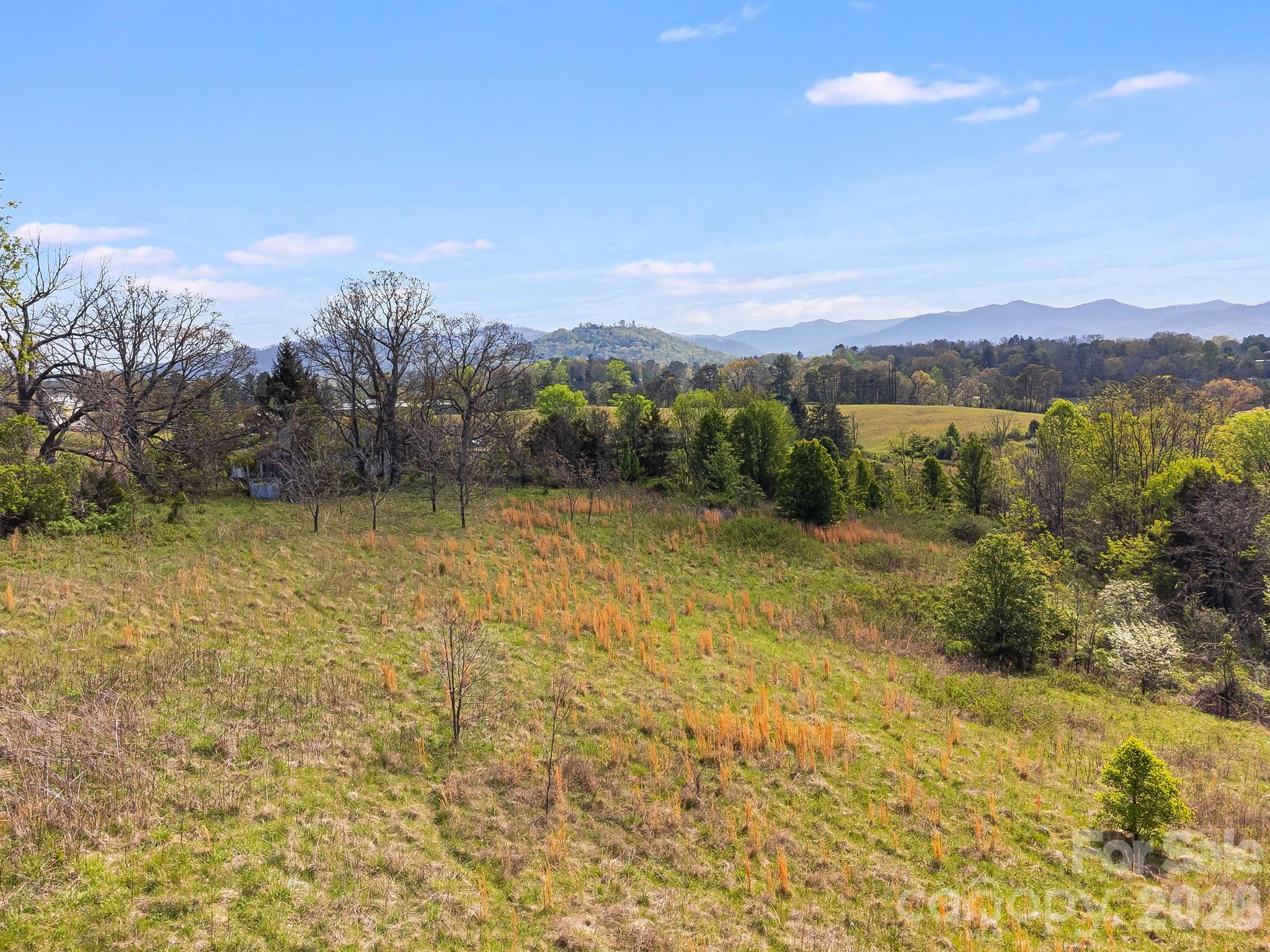 Gently rolling topography and multiple potential build sites. - 47 Gill Branch Road, Weaverville