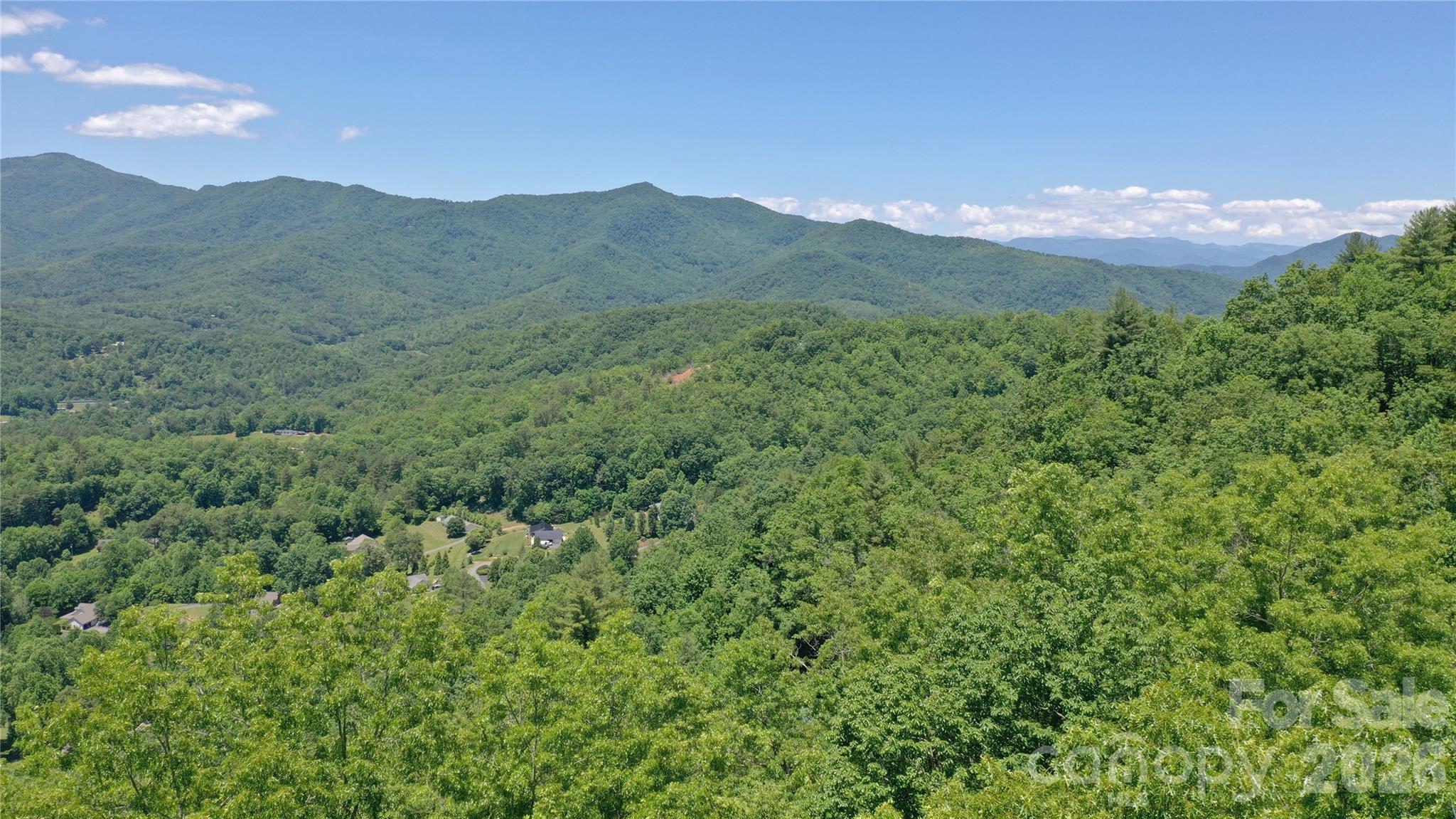 Tree top drone shot - 272 Kako Ridge, Sylva