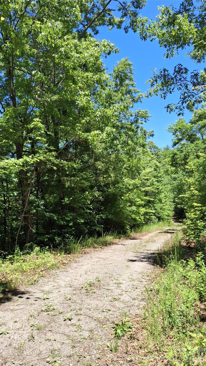 Lot at 272 Kako Ridge, Sylva, photo 8 of 15
