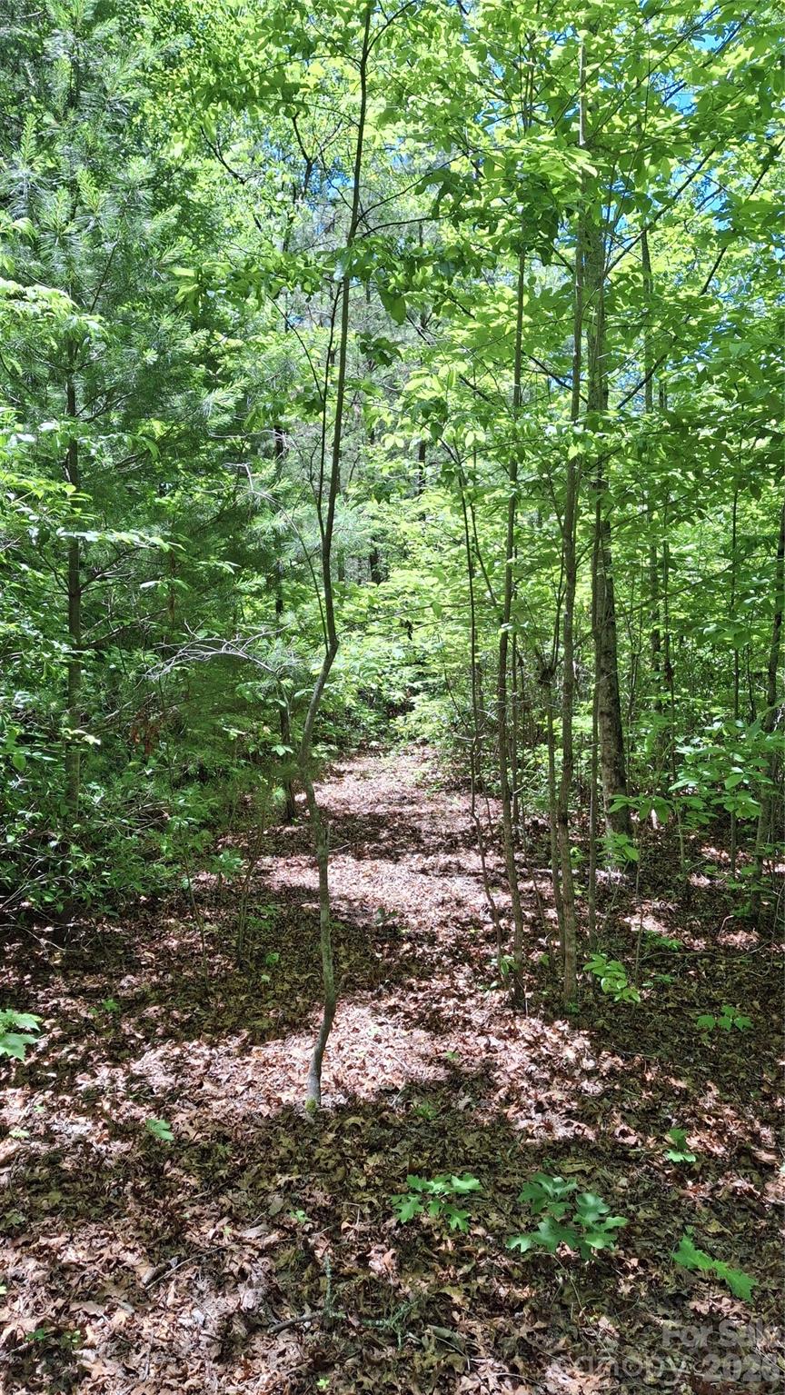 driveway - 272 Kako Ridge, Sylva