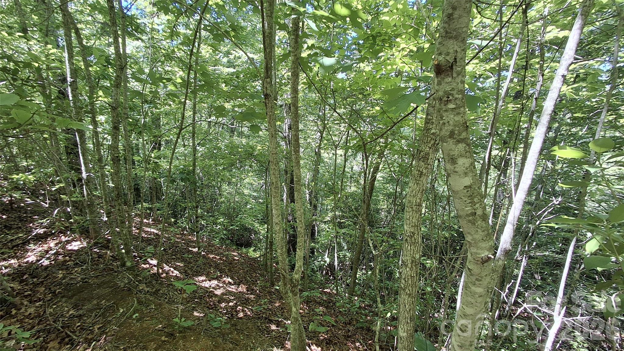 Lot at 272 Kako Ridge, Sylva, photo 14 of 15
