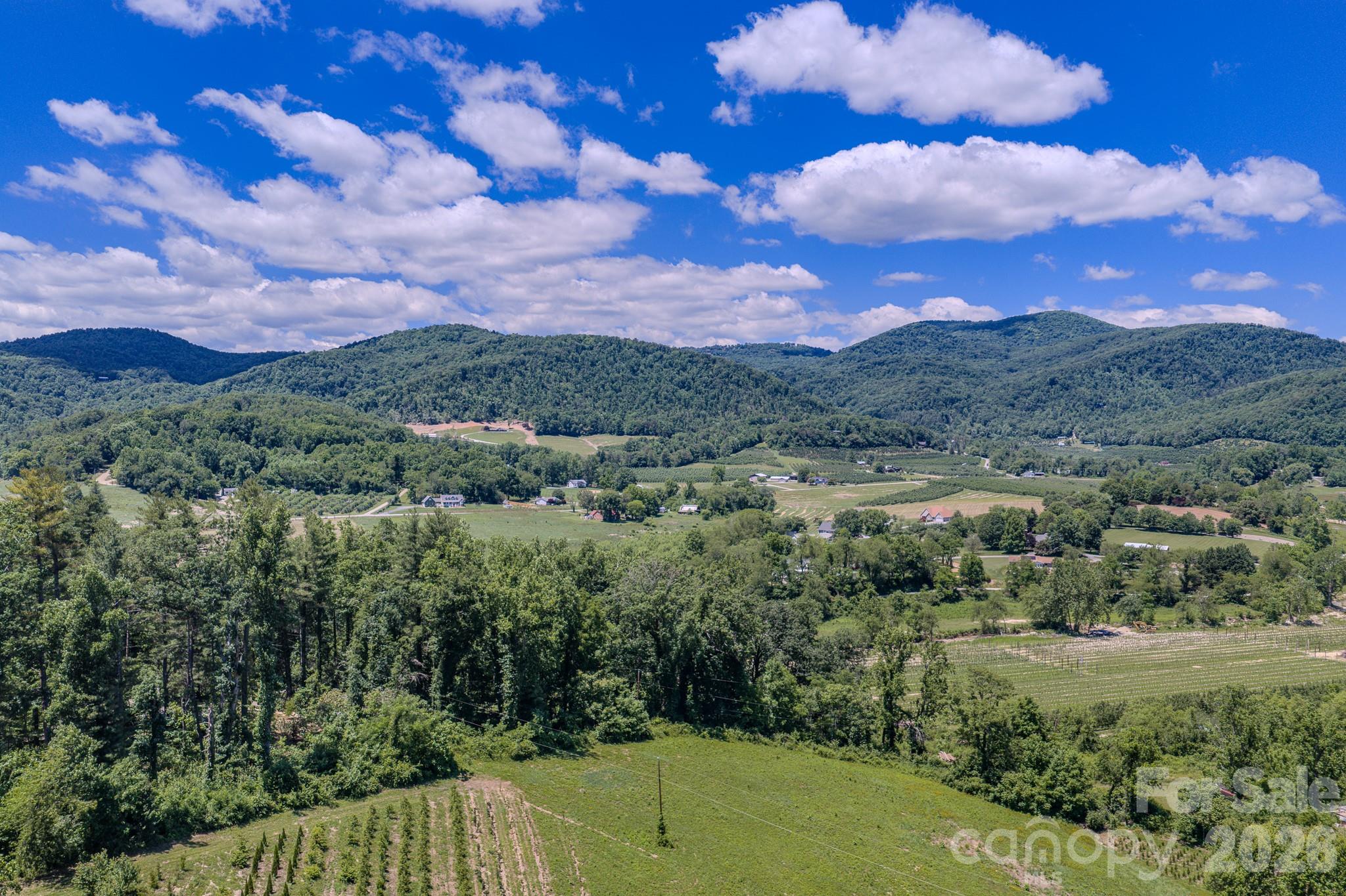 Build a home with these views! - 0 Woodlyn Etch Drive, Hendersonville